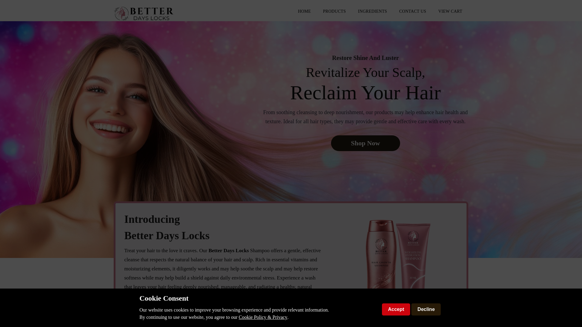 website screenshot of https://betterdayslocks.com/