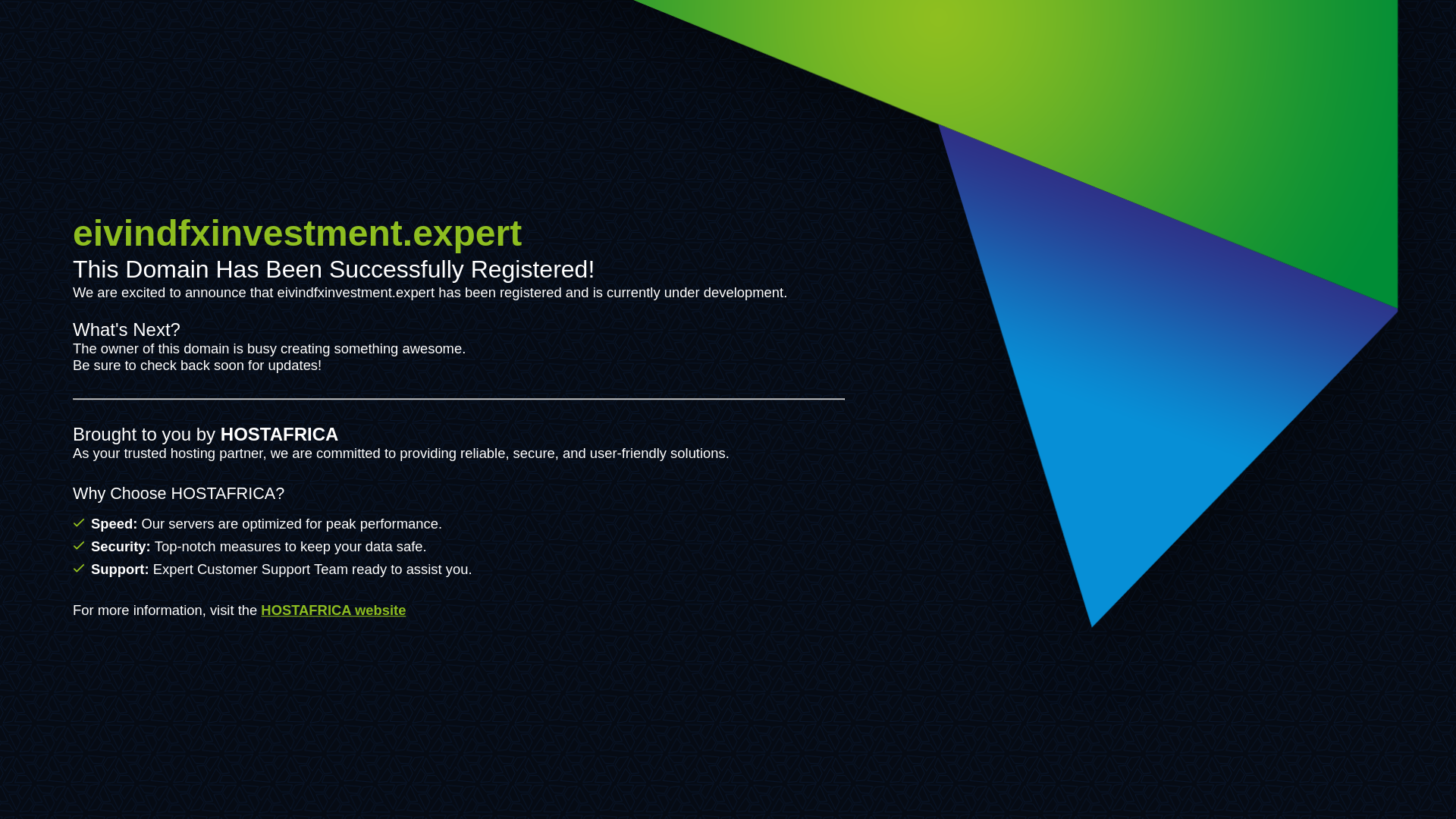 website screenshot of https://eivindfxinvestment.expert/