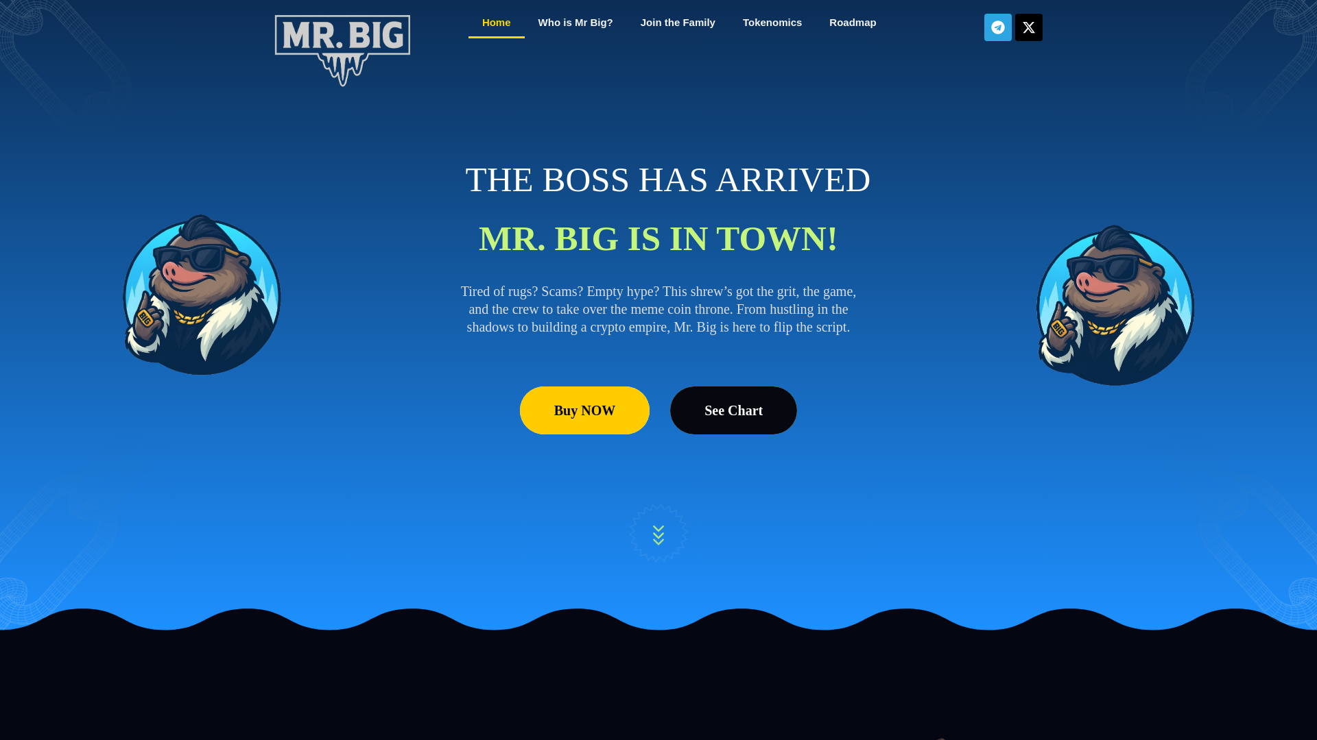 website screenshot of https://mrbigcoin.com