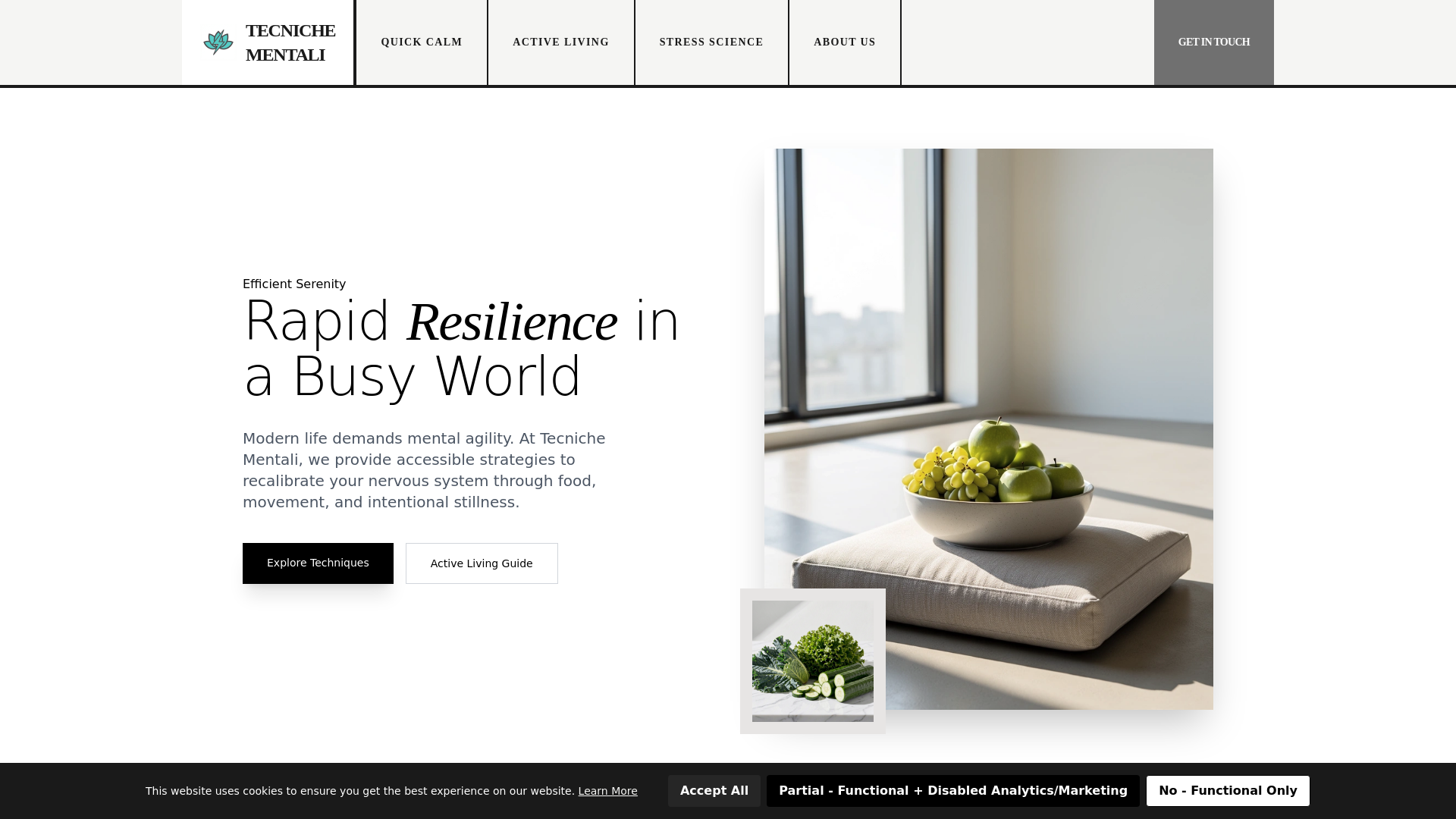 website screenshot of https://tecnicheminentalicompl.info