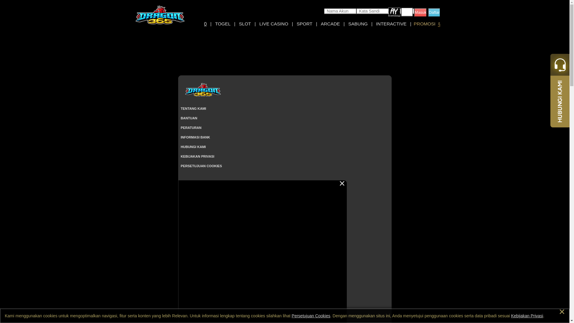 website screenshot of https://dragon365air.com/