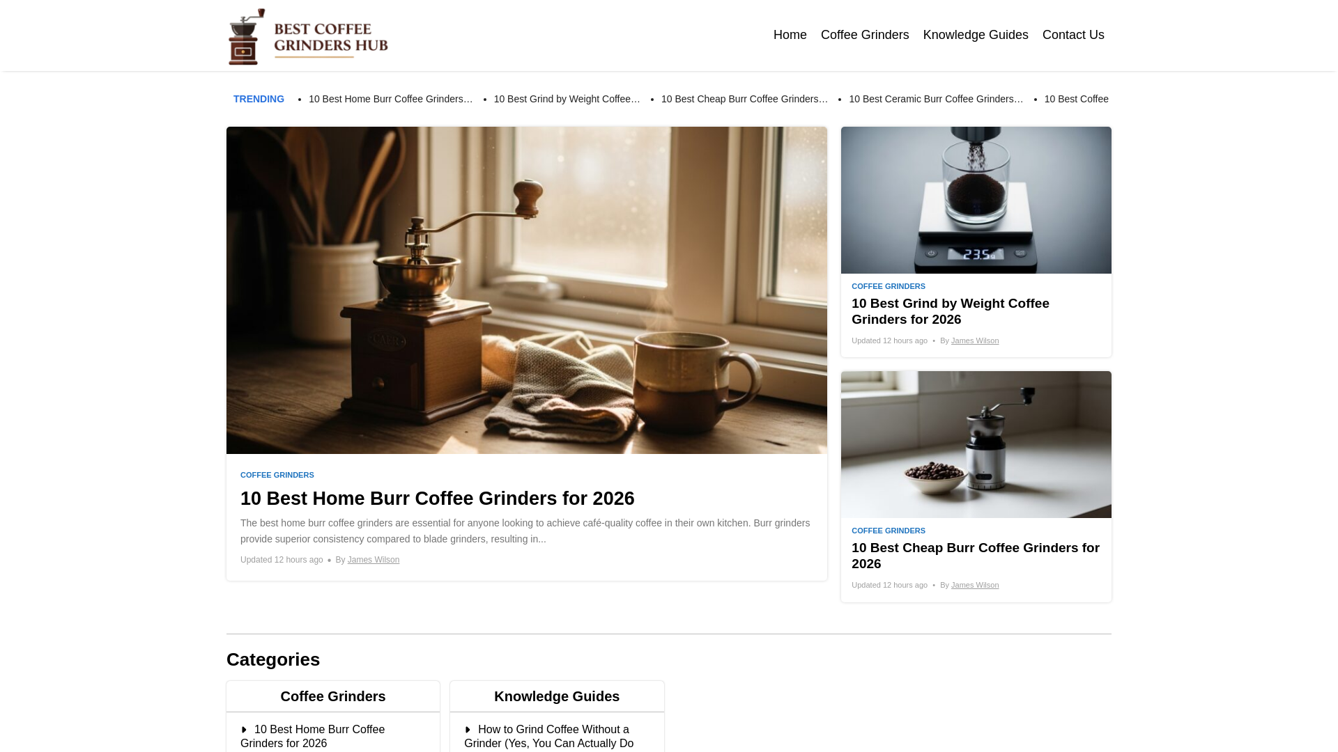 website screenshot of https://bestcoffeegrindershub.com/