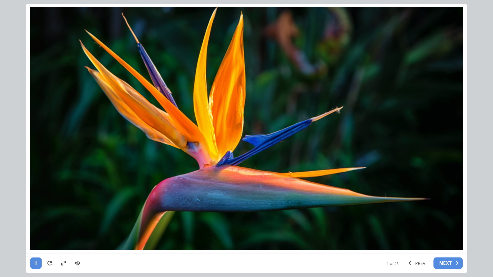 website screenshot of https://34a4a662-9c4d-4483-9edc-32644417fa74-qa.pages.dev/