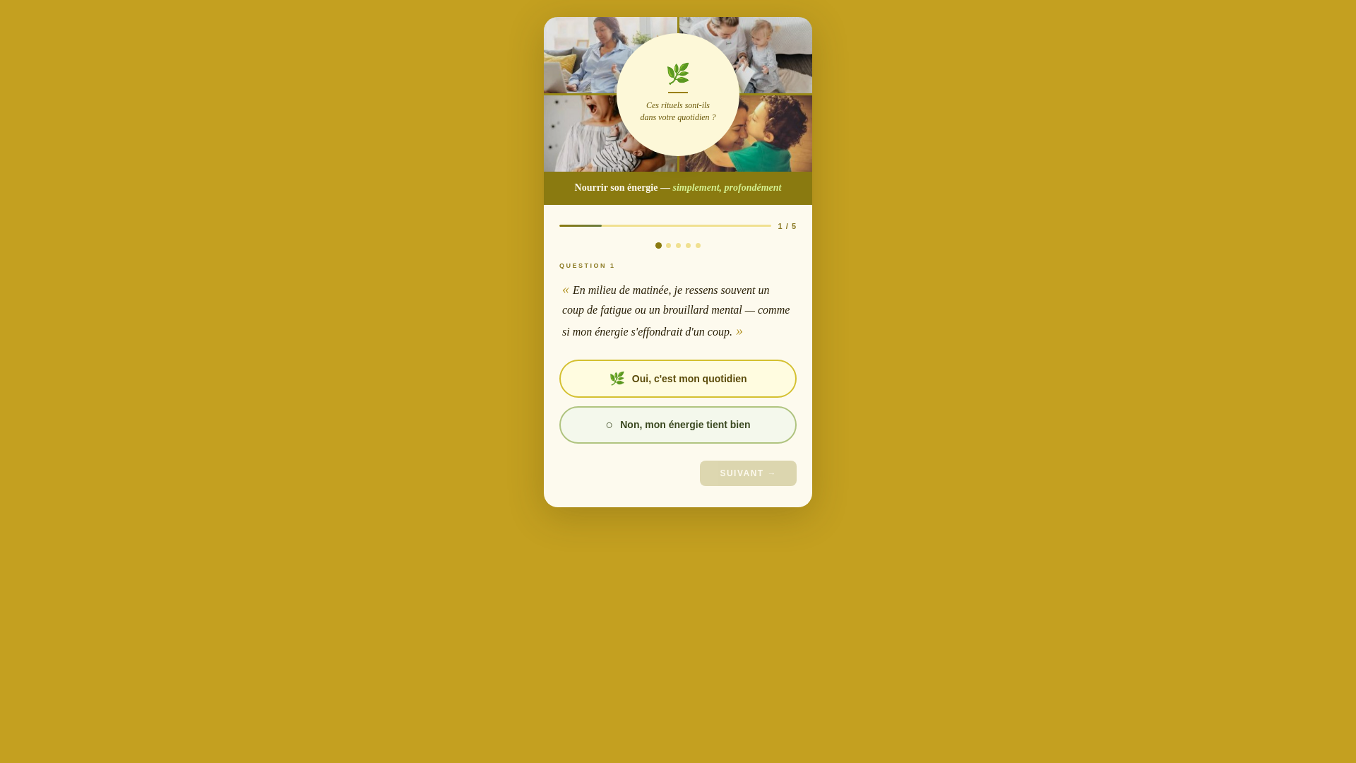 website screenshot of https://quizzvitalitem.pages.dev/