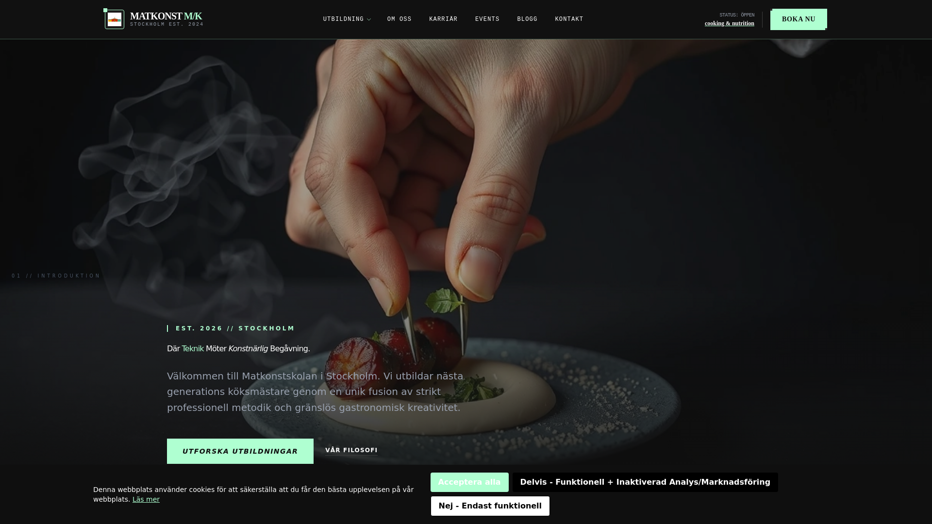 website screenshot of https://matkonstskolansetr.info/