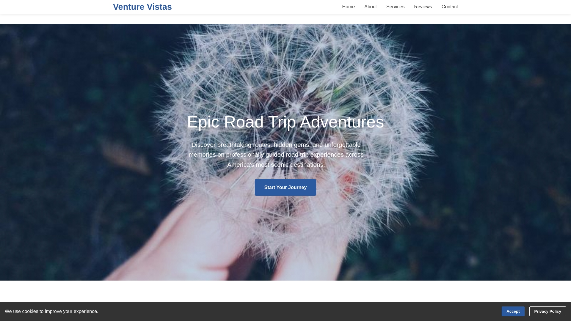 website screenshot of https://venturevistas.xyz/
