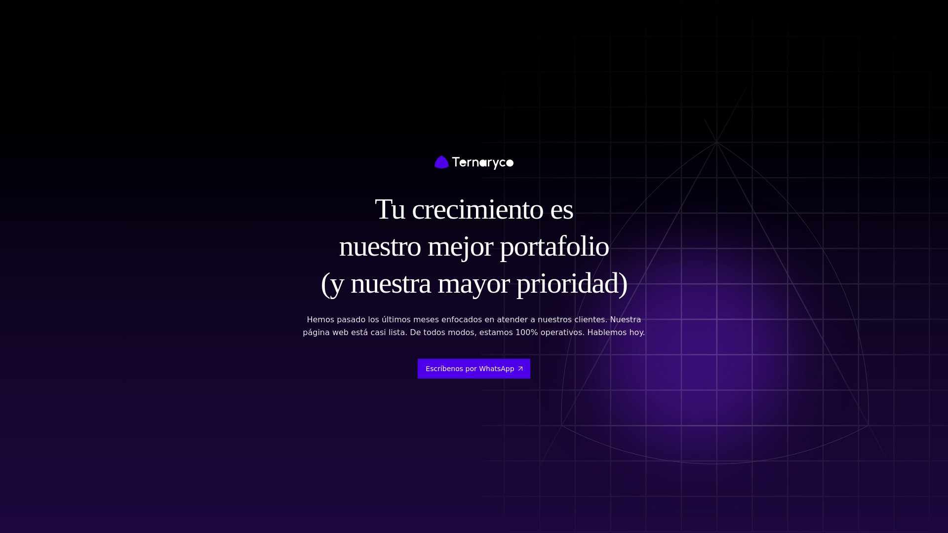 website screenshot of https://ternaryco.pages.dev/