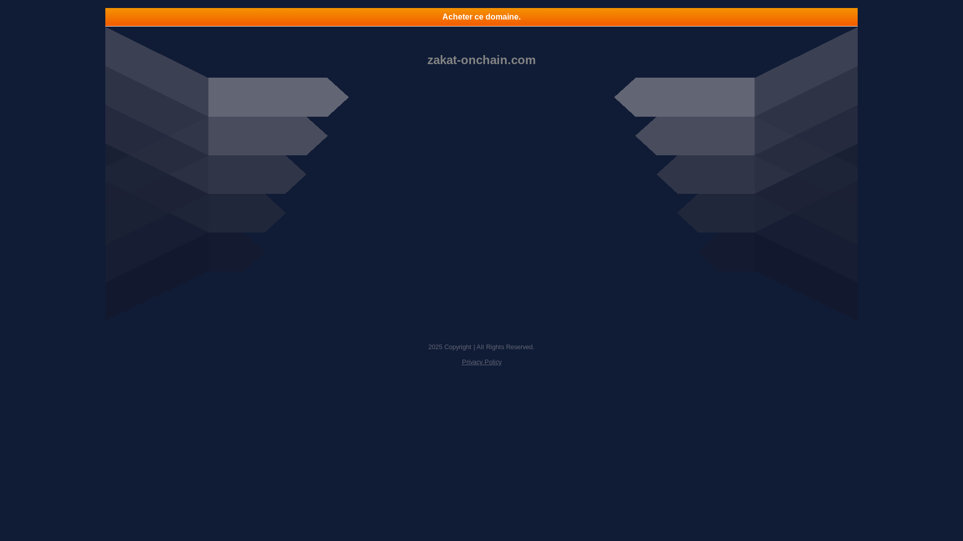 website screenshot of https://zakat-onchain.com/