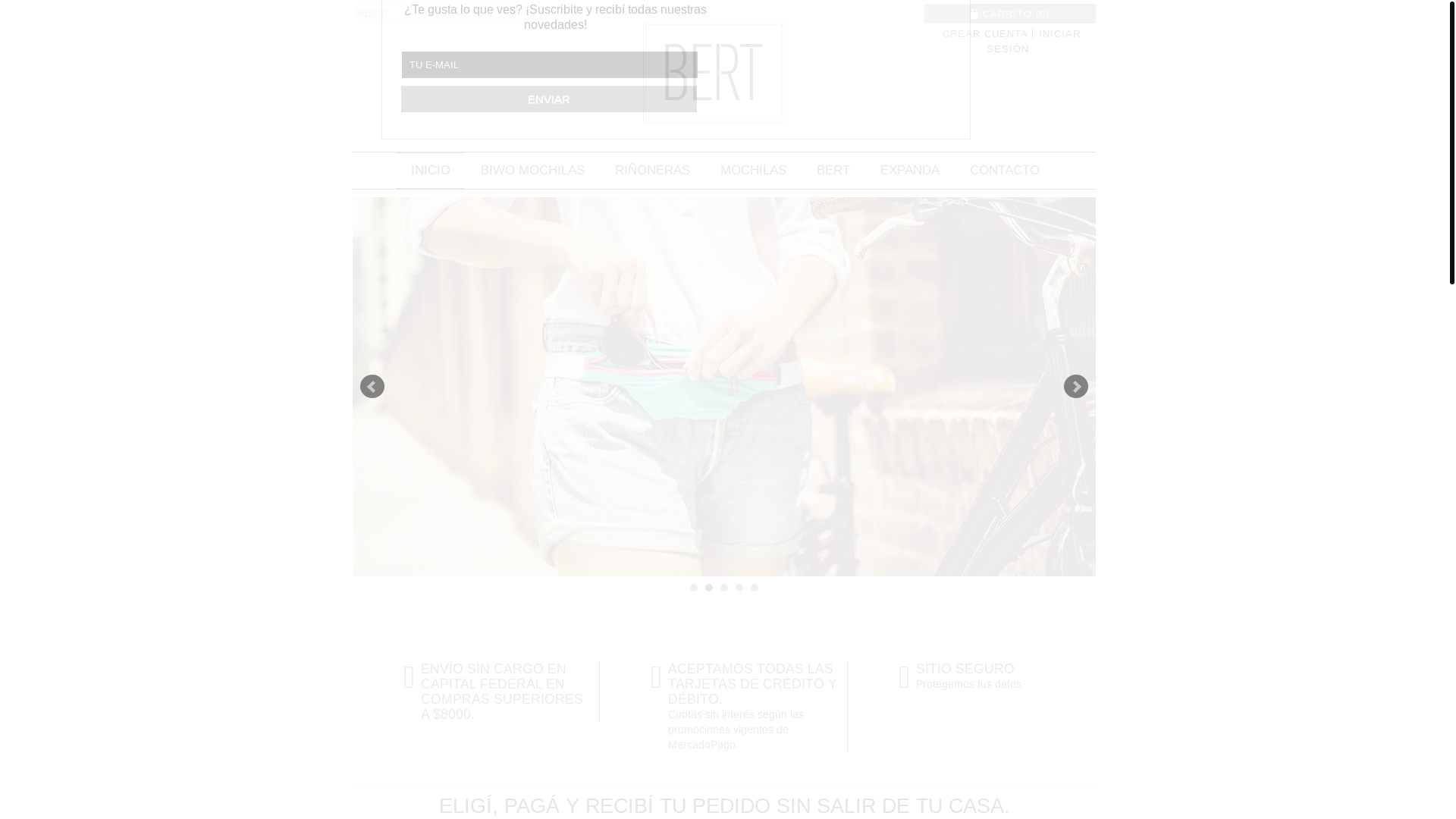 website screenshot of https://bertexpanda.com.ar/
