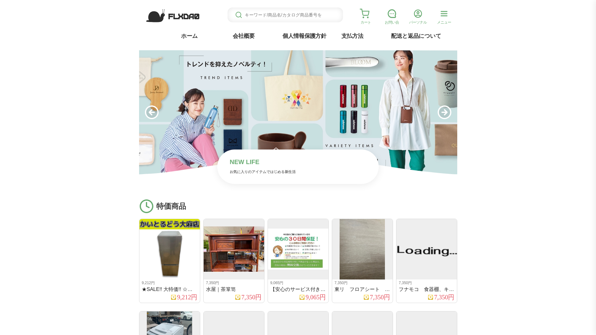 website screenshot of https://flxda.tapegude.click