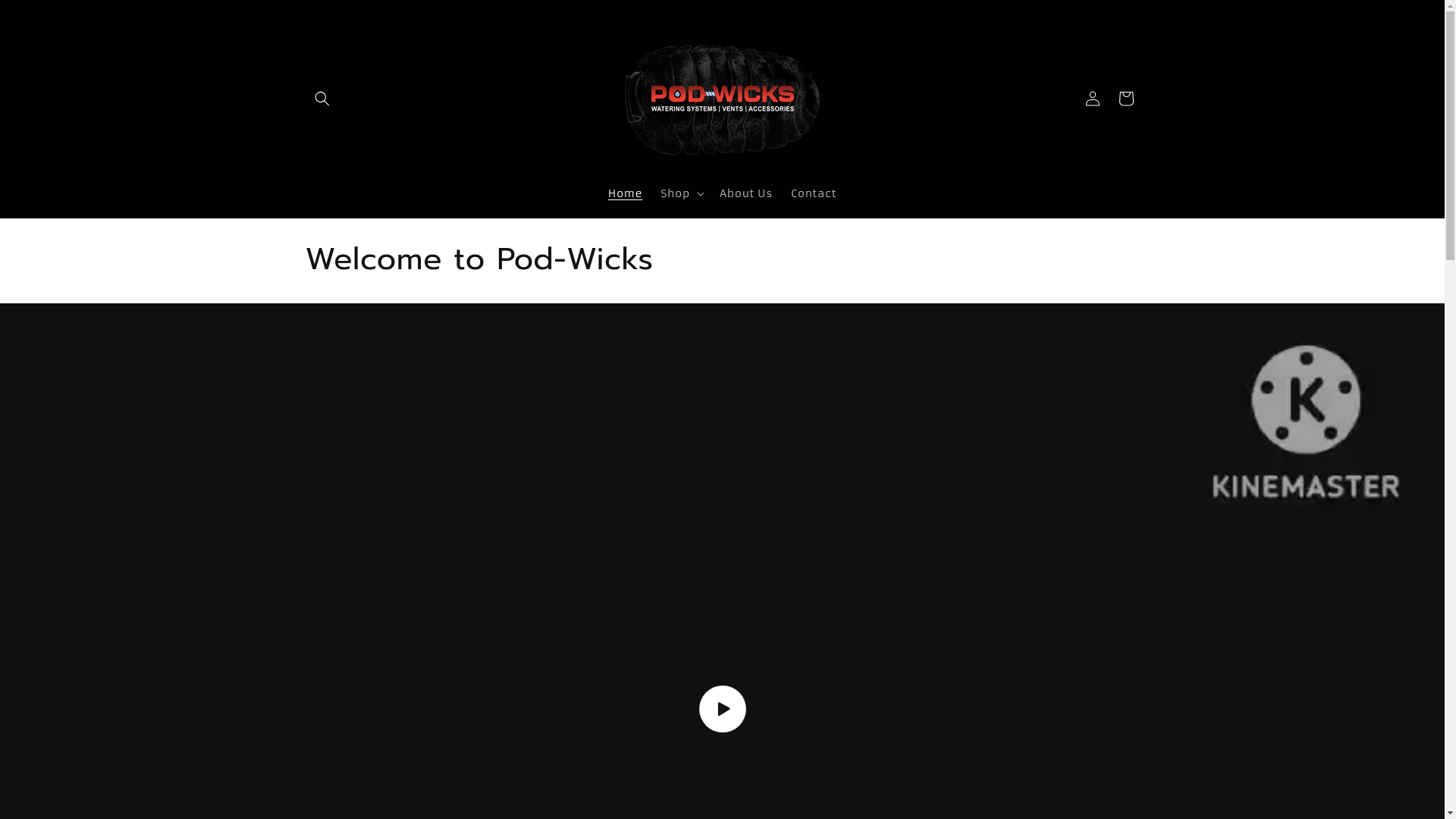 website screenshot of https://podwicksnmore.com/
