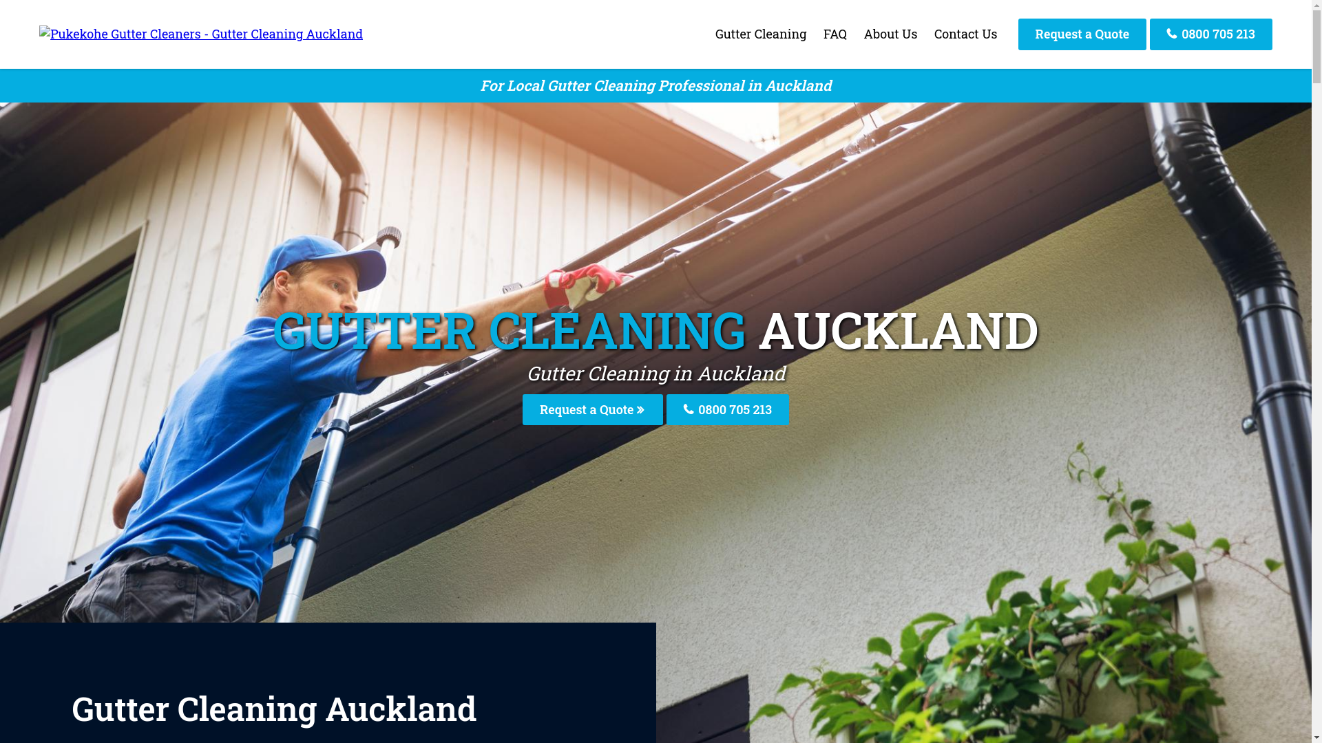 website screenshot of https://pukekoheguttercleaners-co-nz.pages.dev/