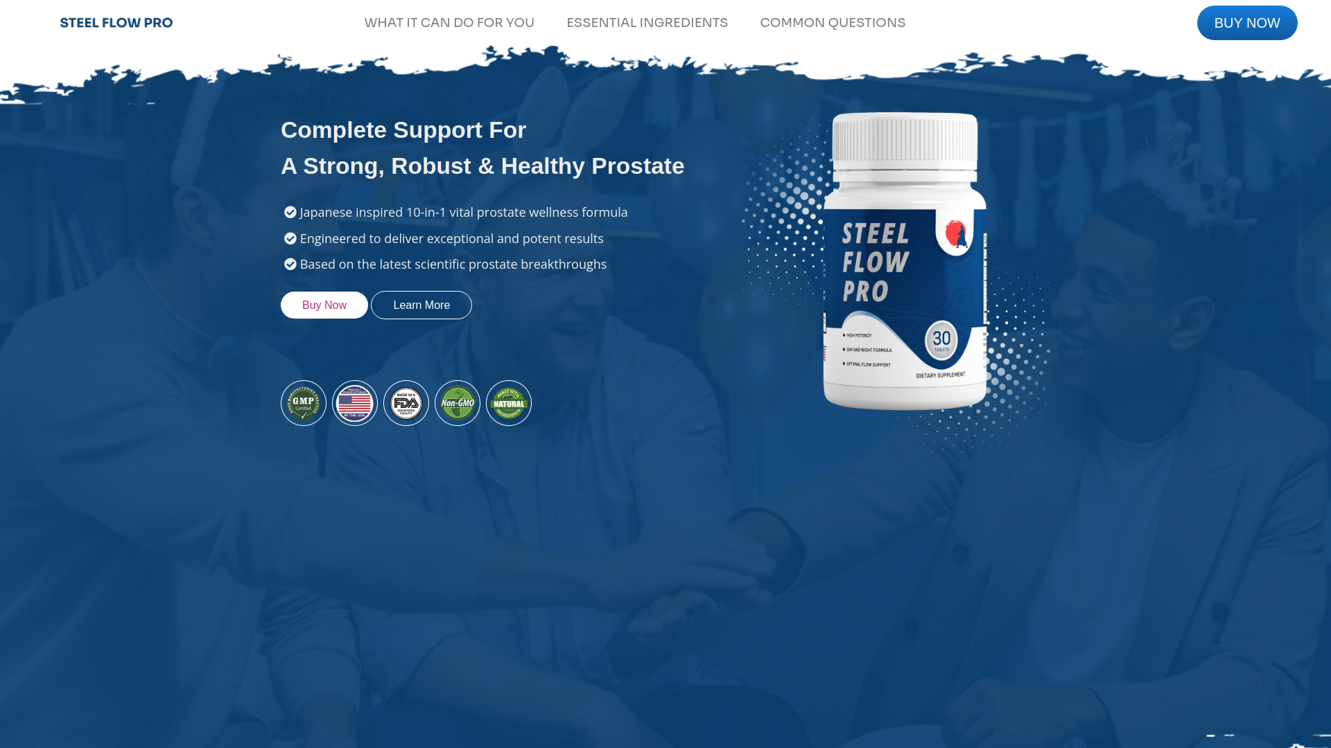 website screenshot of https://sfp-bg.pages.dev/