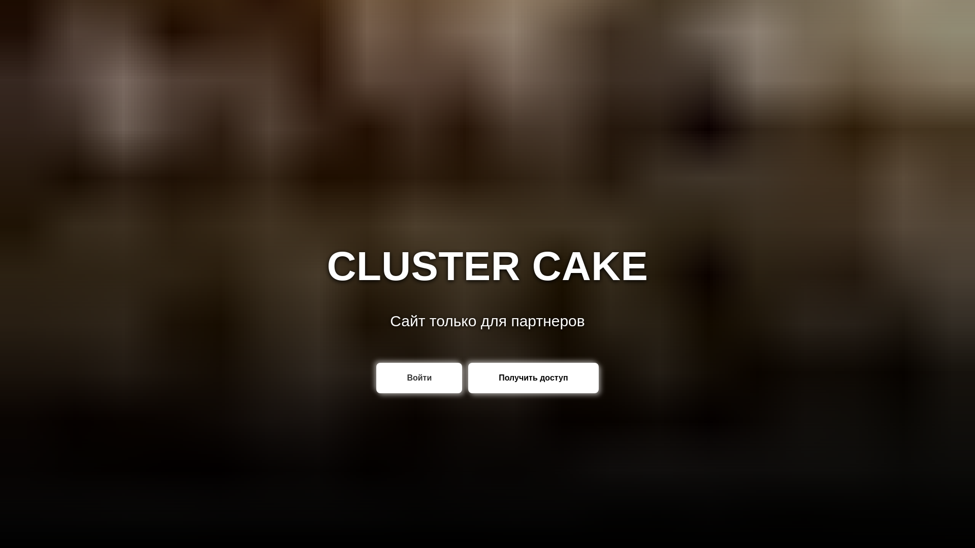 website screenshot of https://cluster-partners.ru/