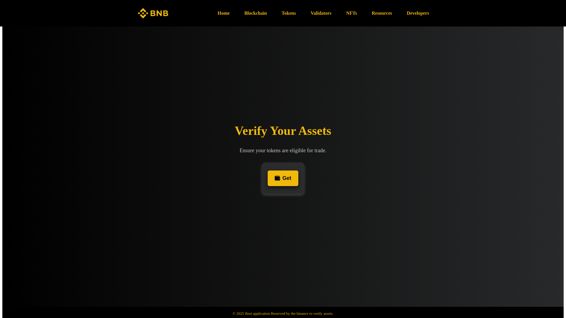 website screenshot of https://bscreport.xyz/