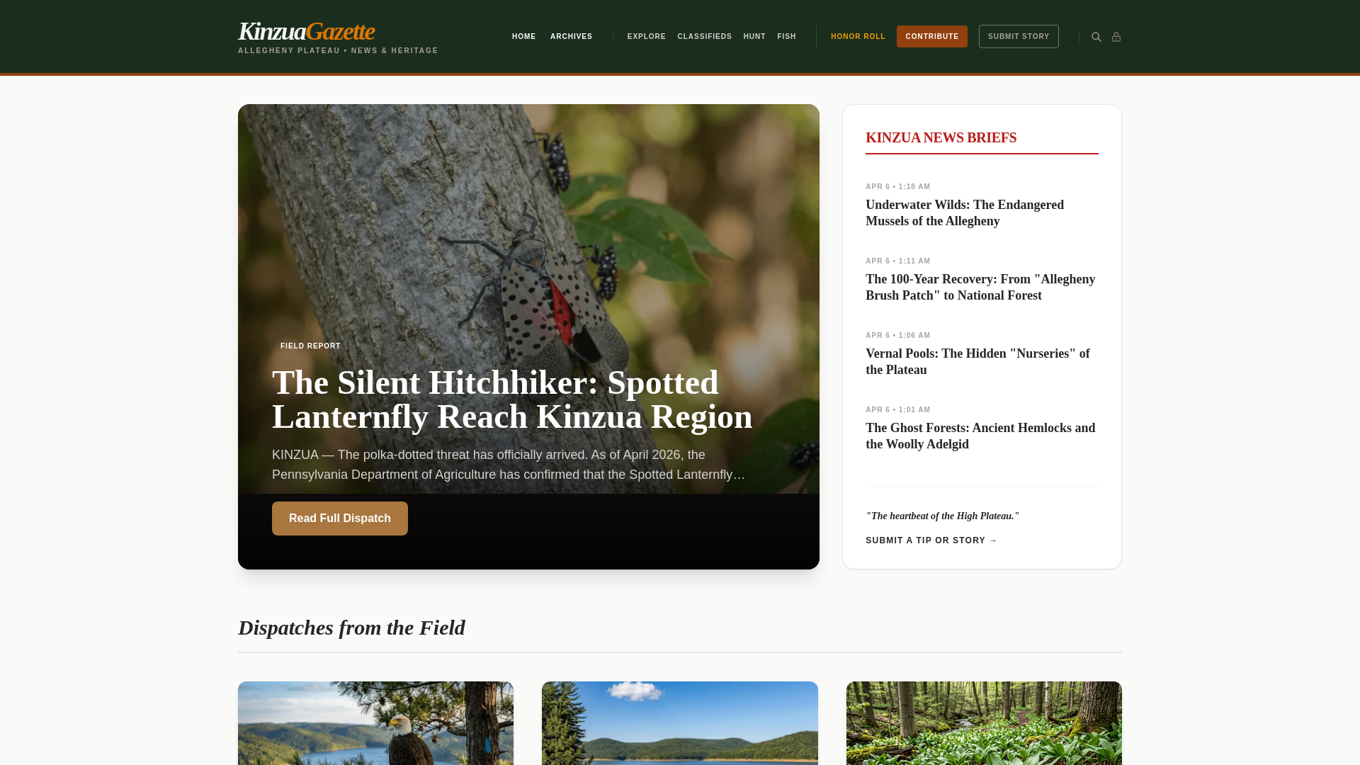 website screenshot of https://kinzuagazette.com