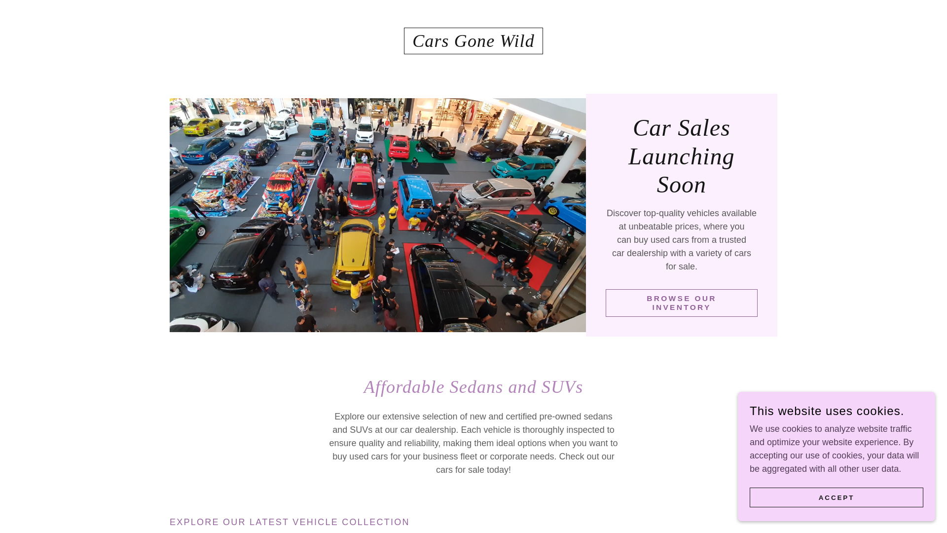 website screenshot of https://carsgonewid.com/