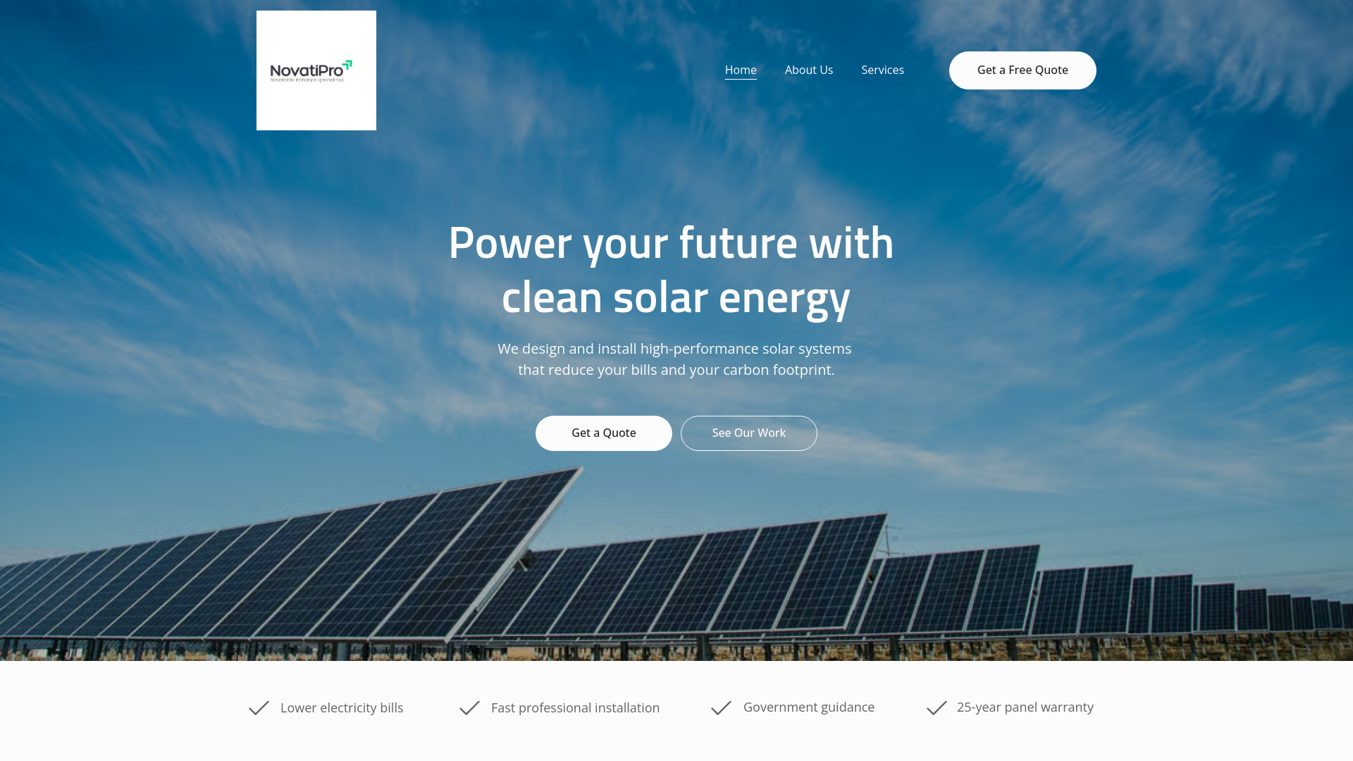website screenshot of https://novatipro.lt/