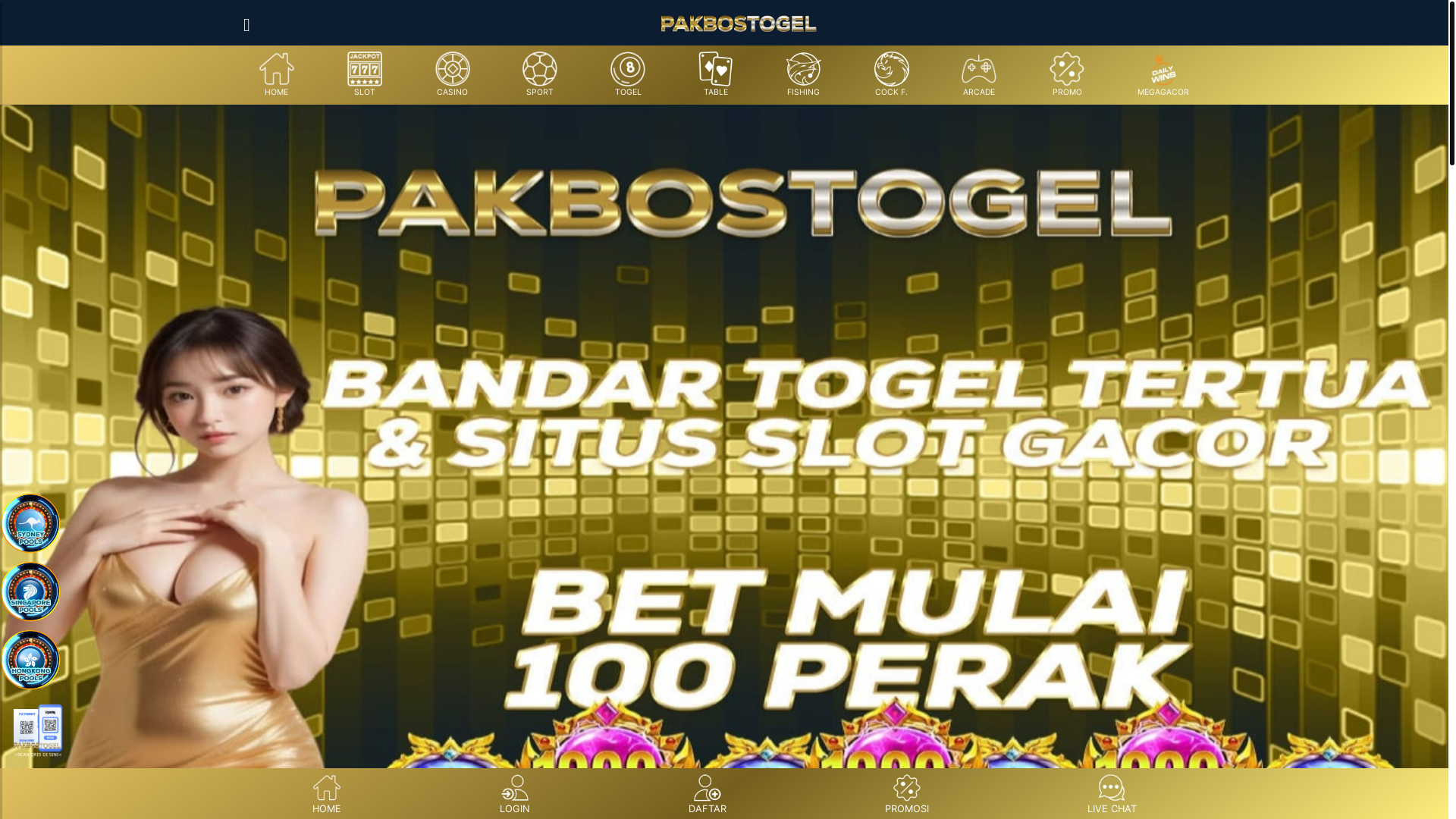 website screenshot of https://pakbostogel.space/