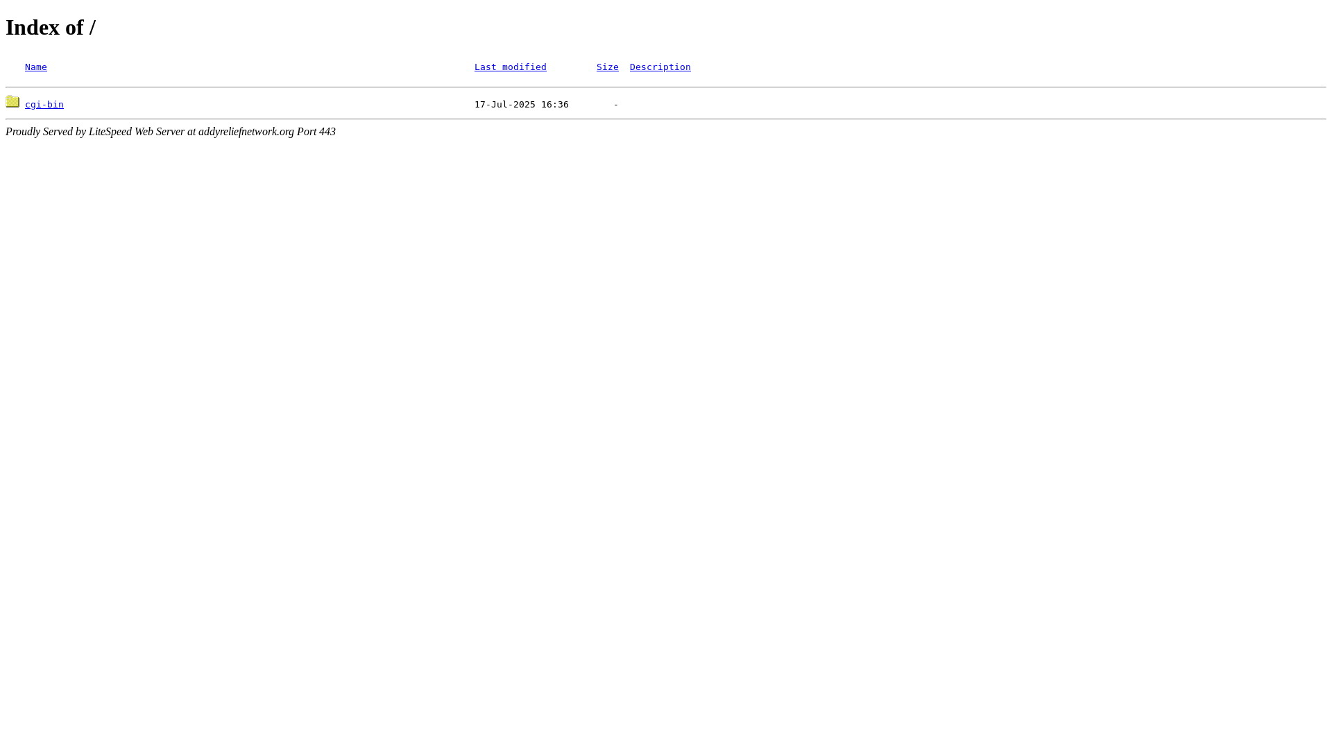 website screenshot of https://addyreliefnetwork.org/
