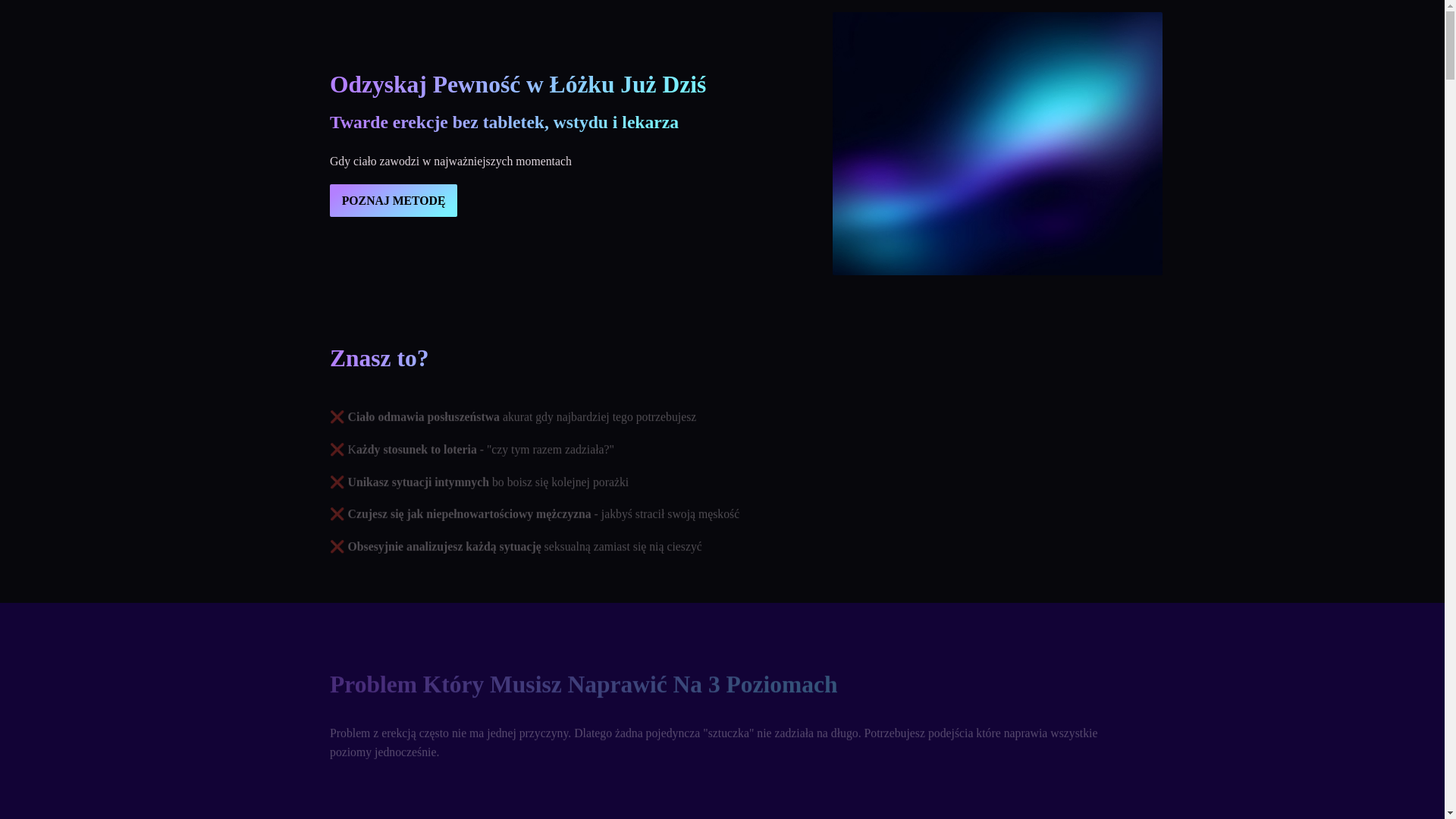 website screenshot of https://alfa-protokol.pl/