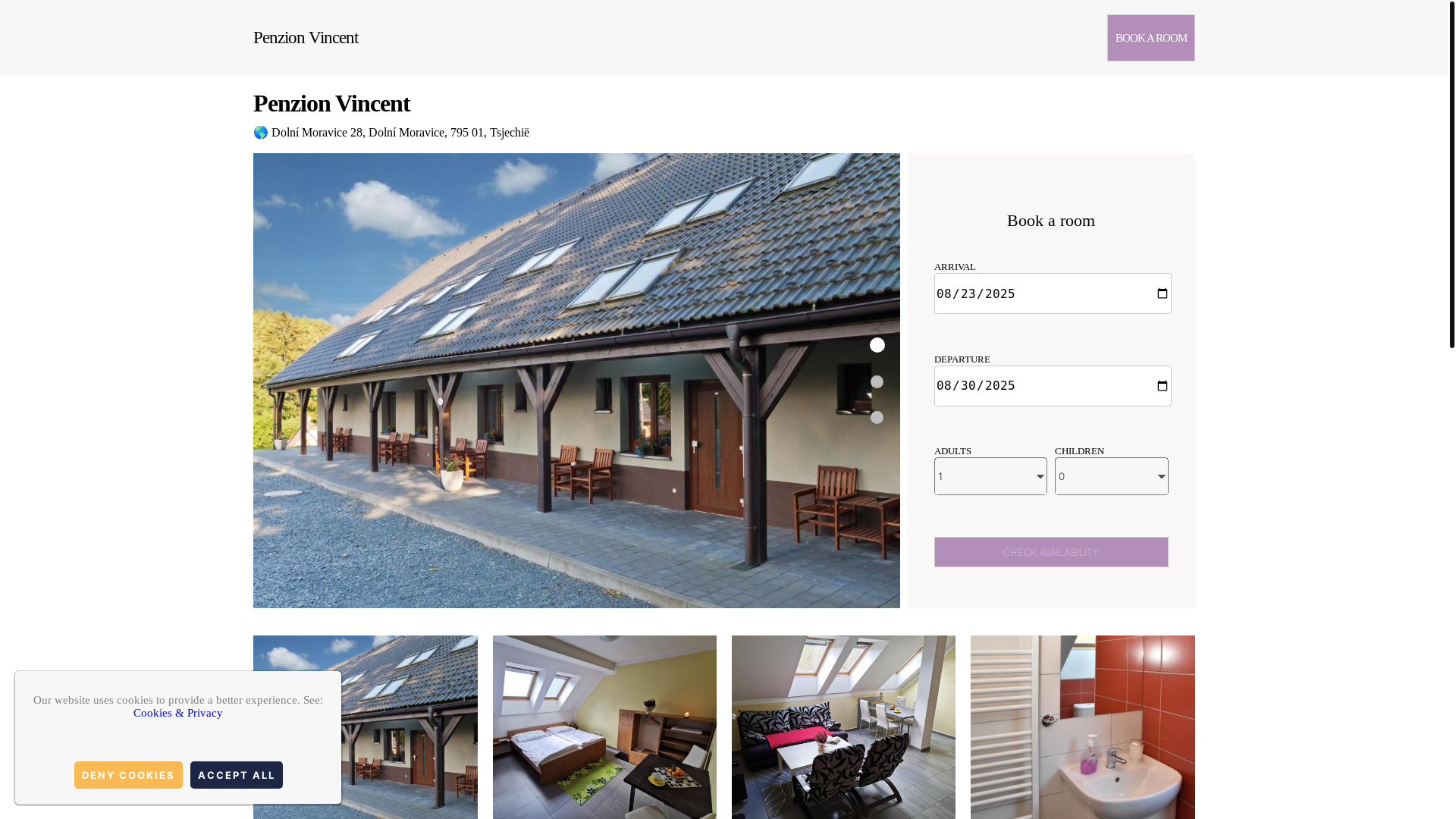 website screenshot of https://penzion-vincent.com.es/