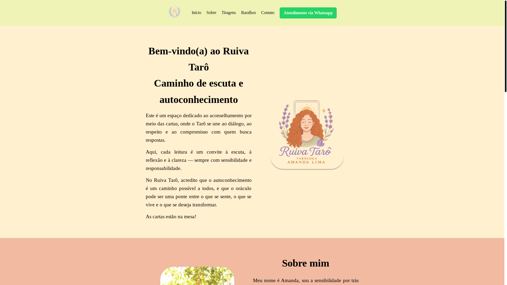 website screenshot of https://ruivataro.com.br/