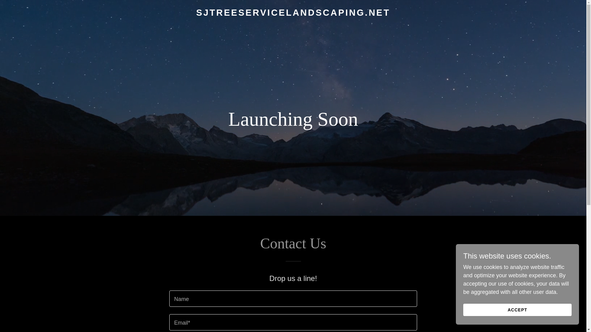 website screenshot of https://sjtreeservicelandscaping.net/