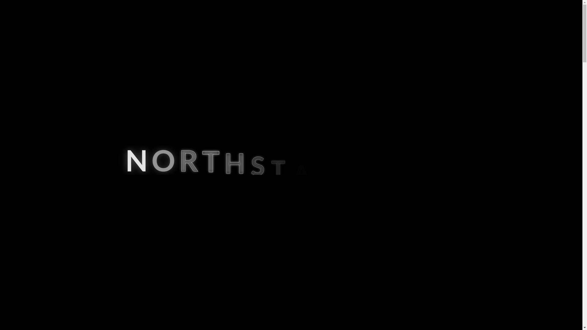 website screenshot of https://northstarimpex.info/