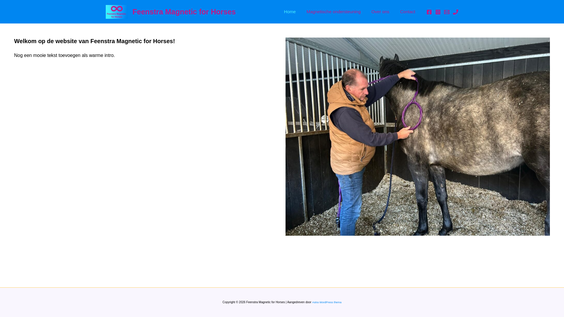 website screenshot of https://feenstramagneticforhorses.nl