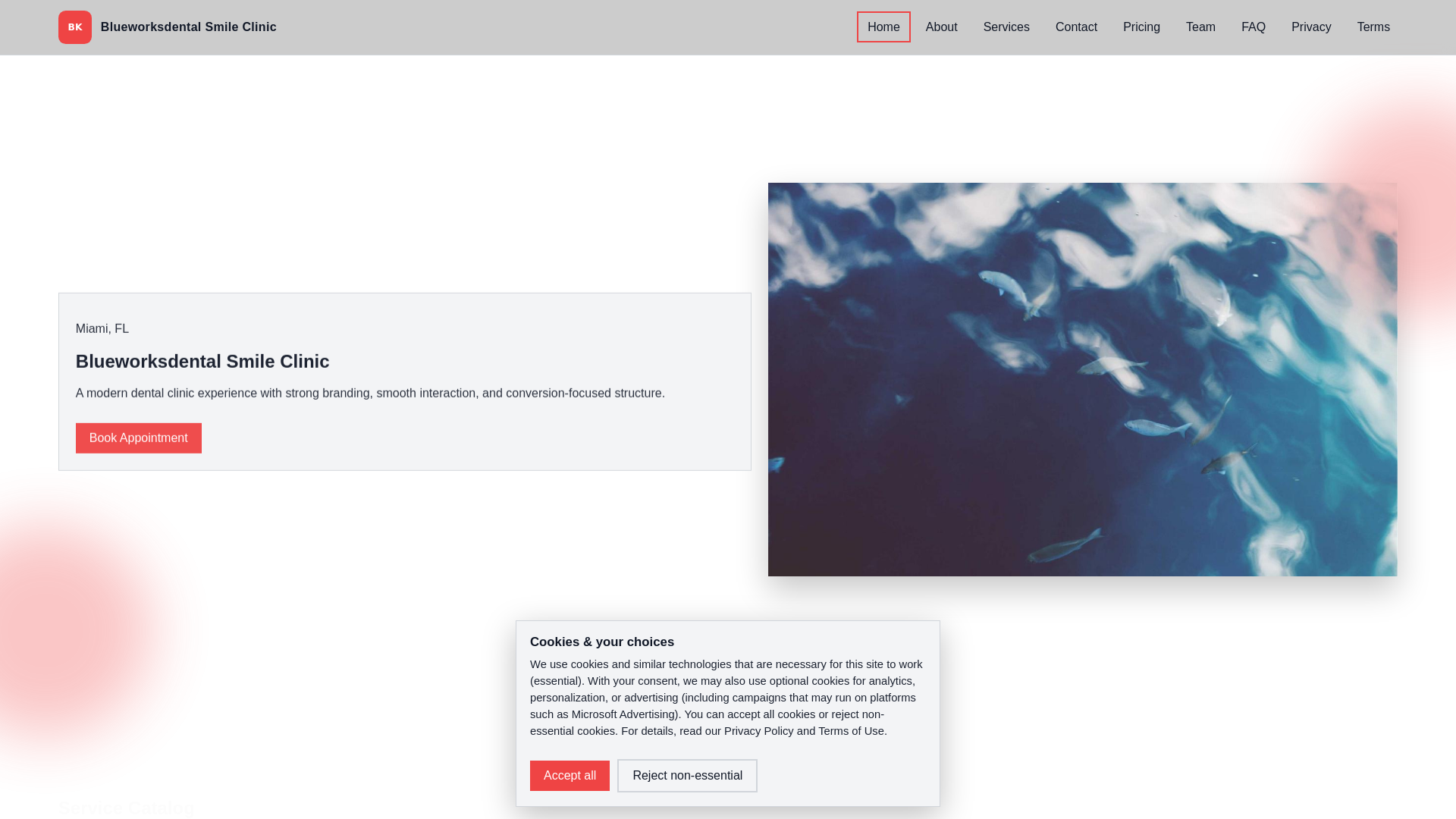 website screenshot of https://blueworksdental.us/