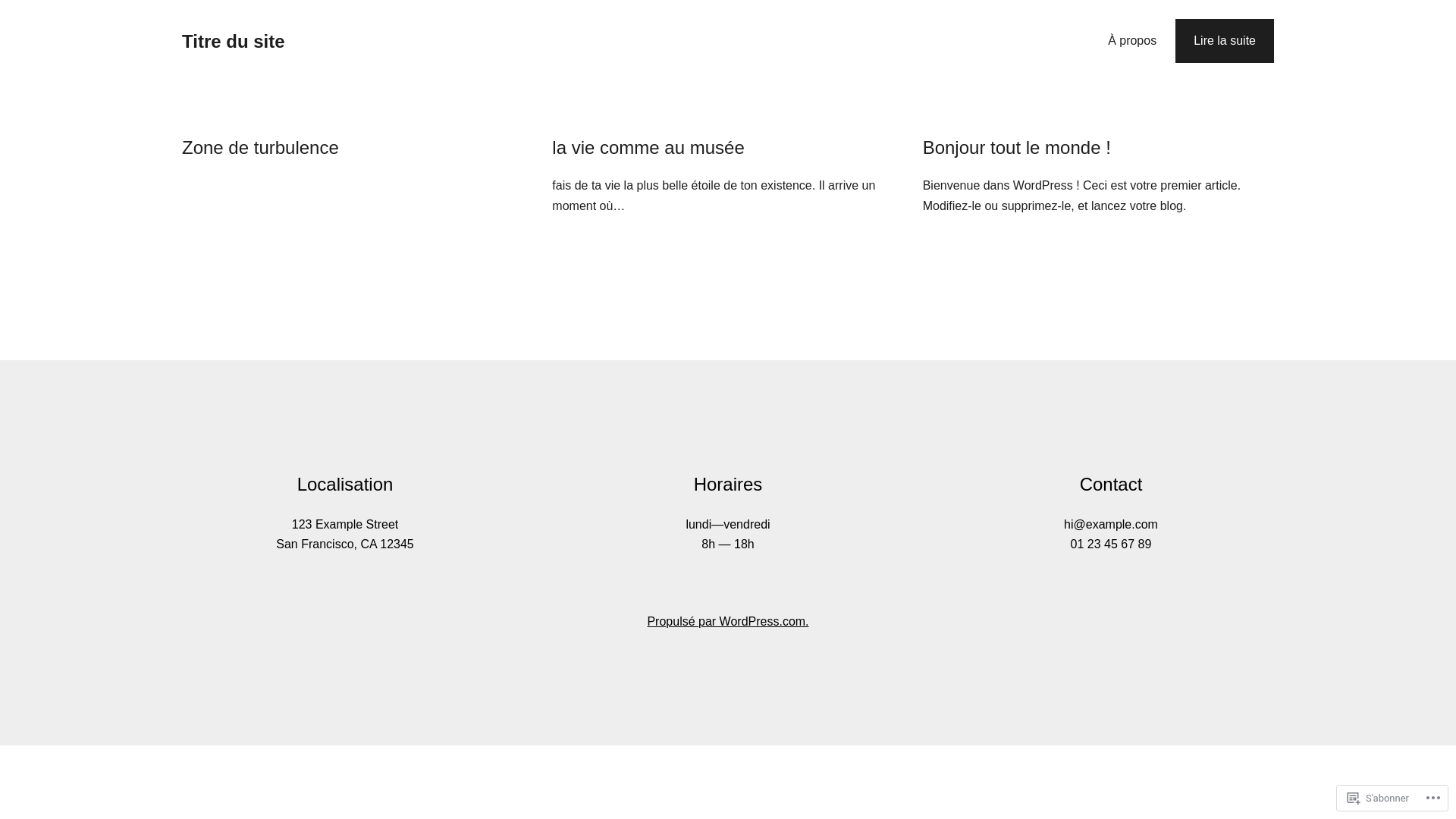 website screenshot of https://les-zones-de-turbulence-s.art/