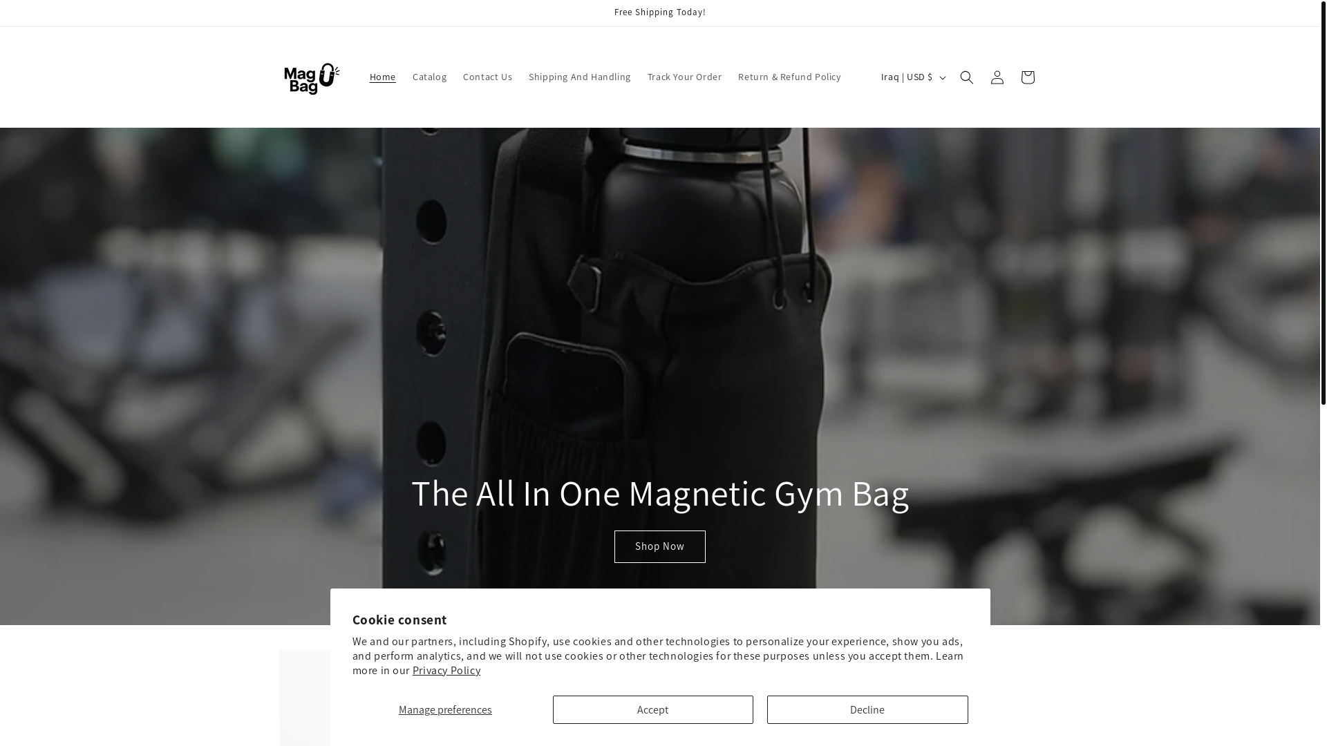 website screenshot of https://fitmagneto.com/