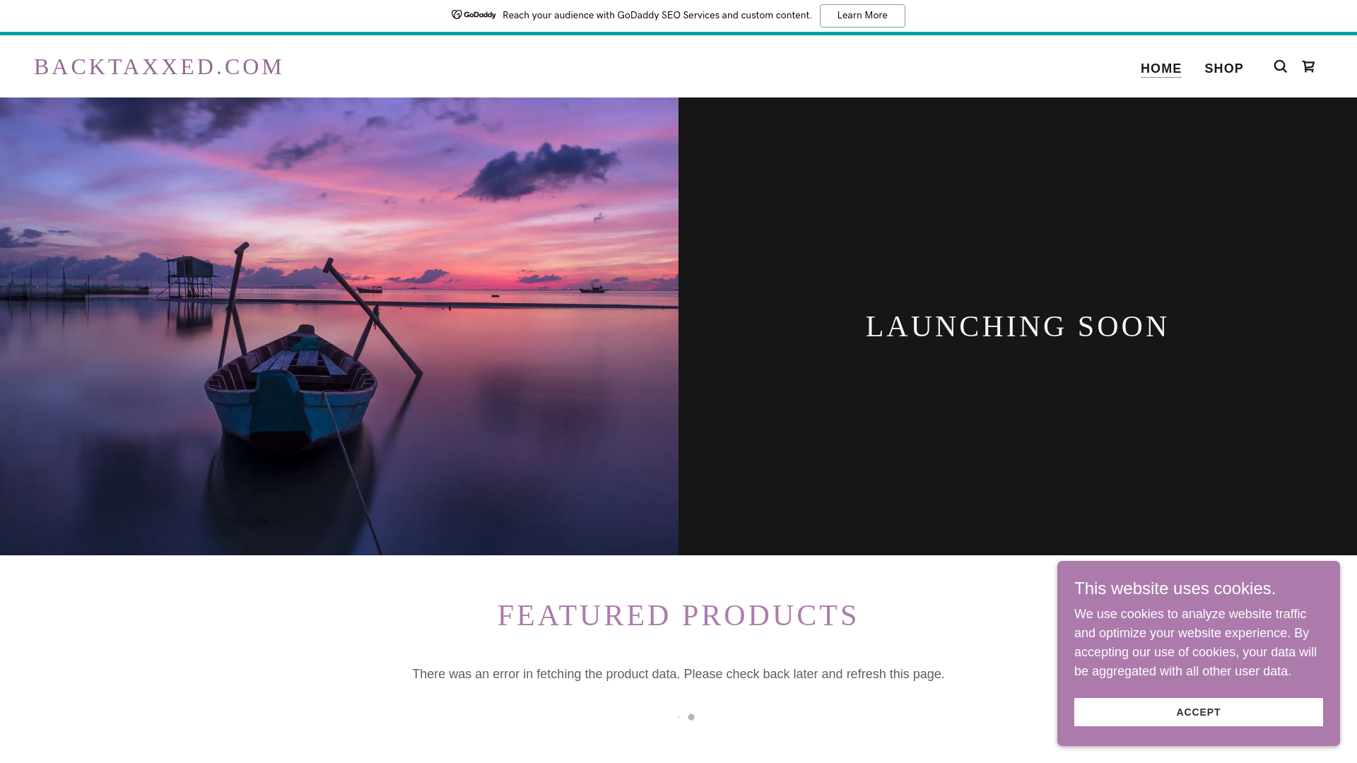 website screenshot of https://backtaxxed.com/