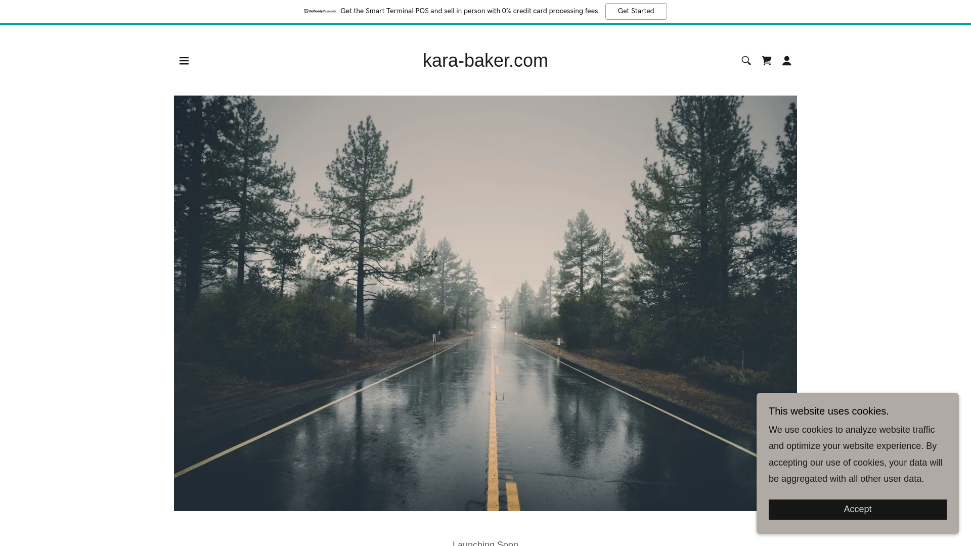 website screenshot of https://kara-baker.com/
