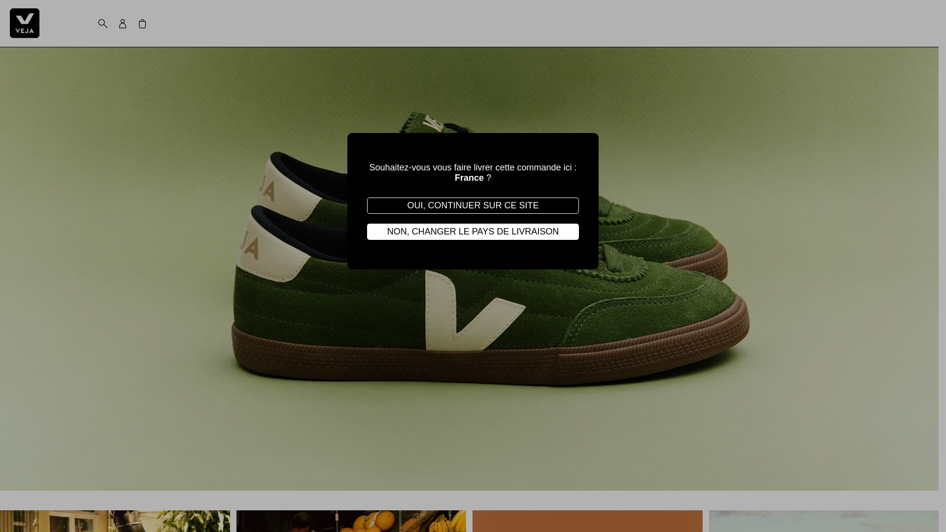 website screenshot of https://veja-store.com/