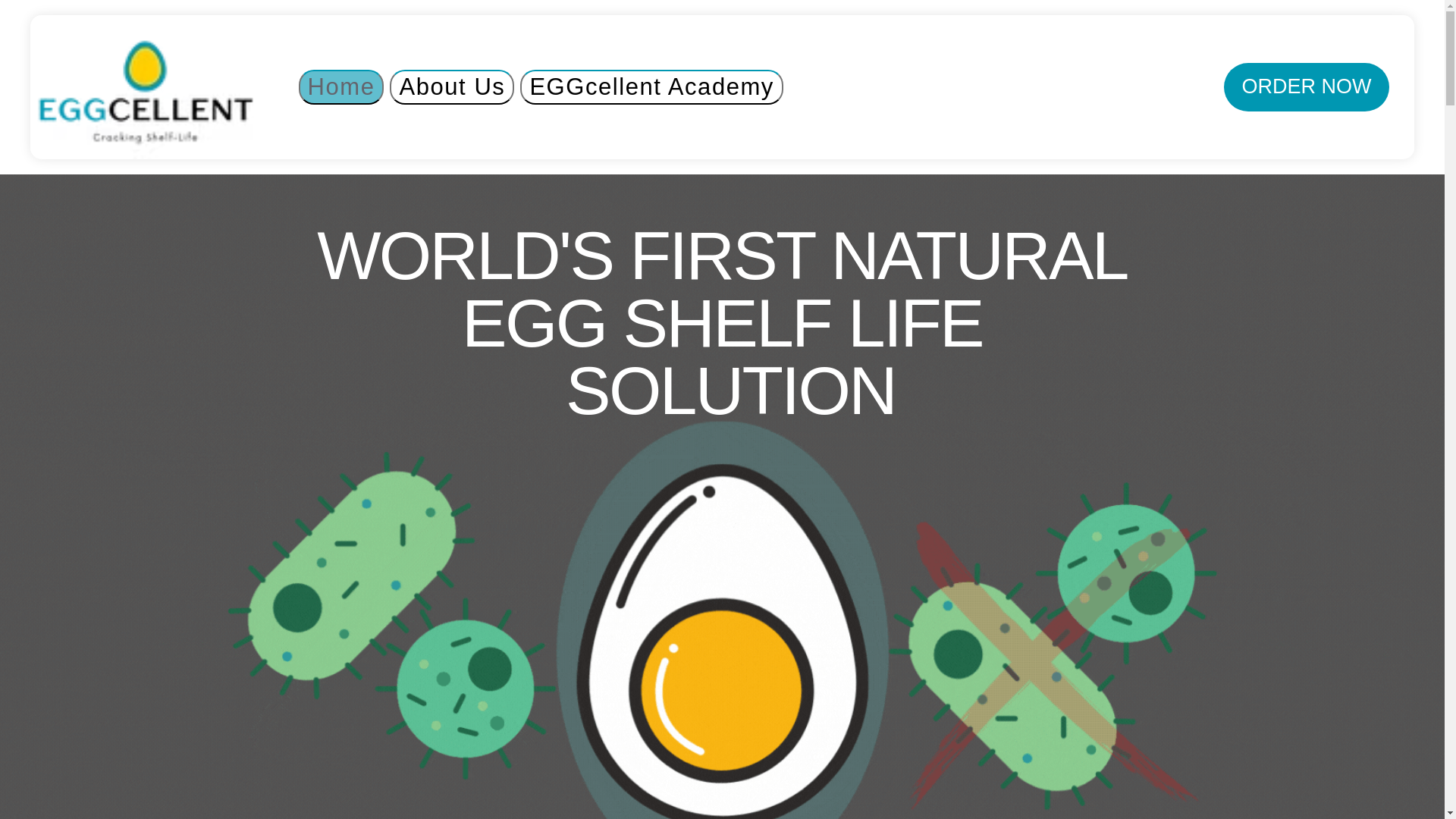 website screenshot of https://teameggshelflife.com/