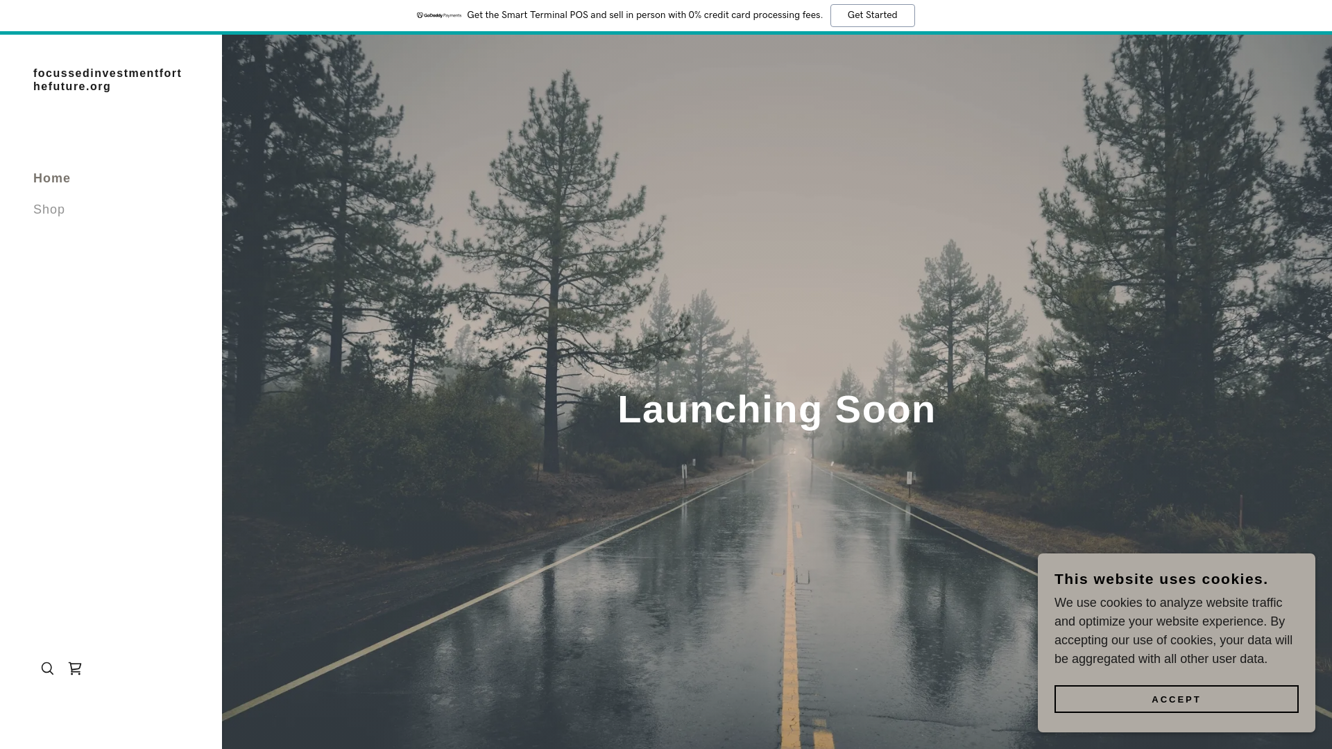 website screenshot of https://focussedinvestmentforthefuture.org/
