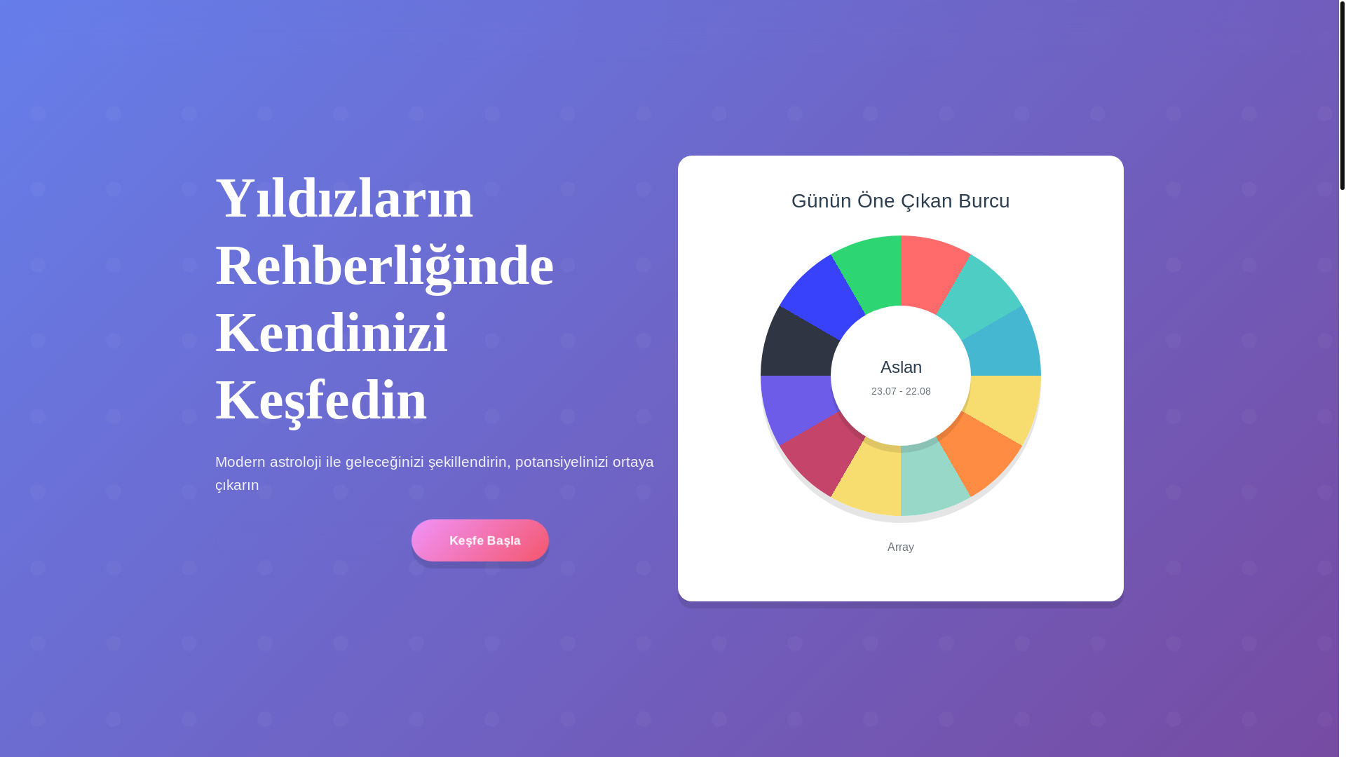 website screenshot of https://burcefsanesi.com/