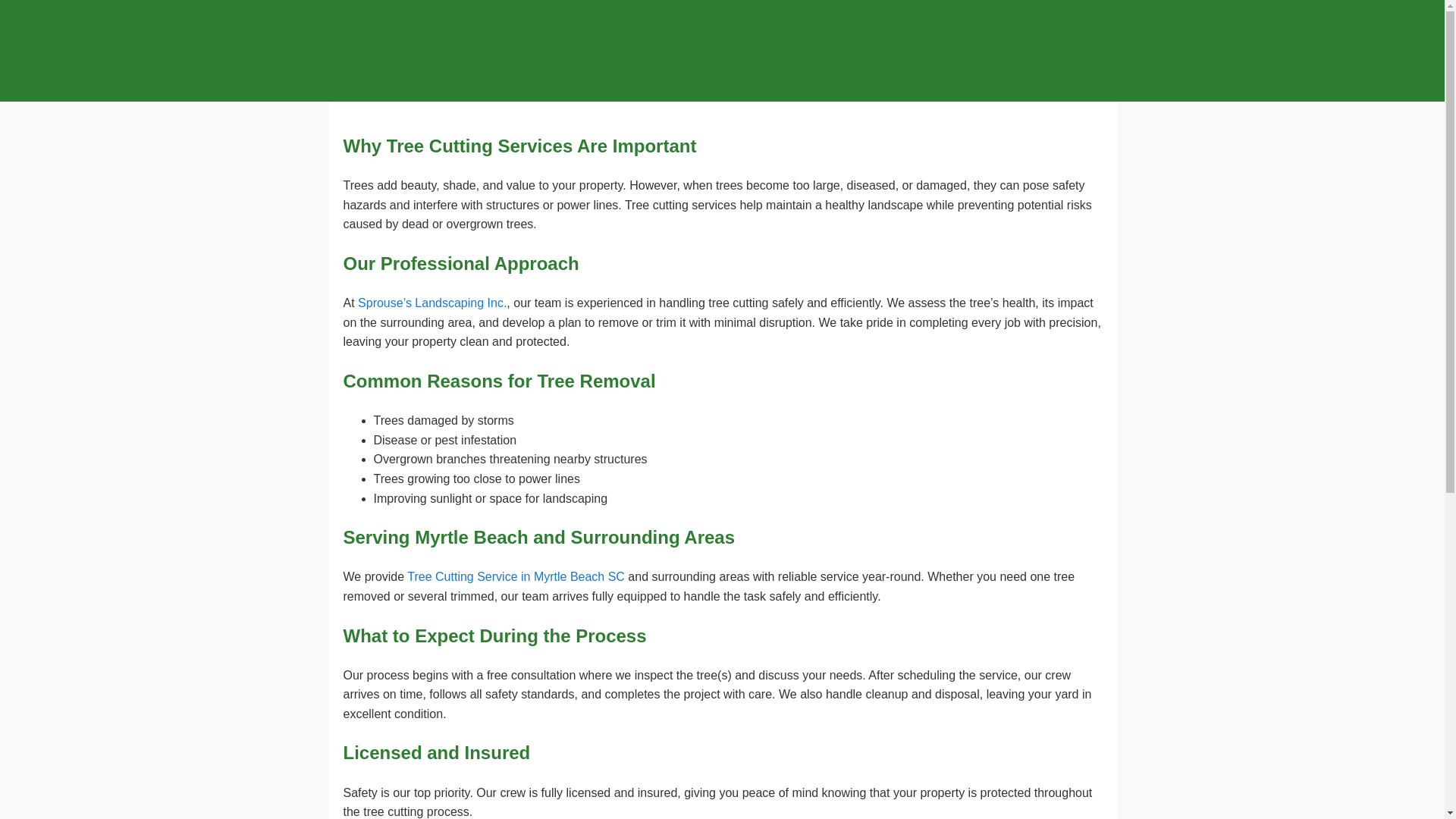 website screenshot of https://tree-cutting-service-myrtle-beach.pages.dev/