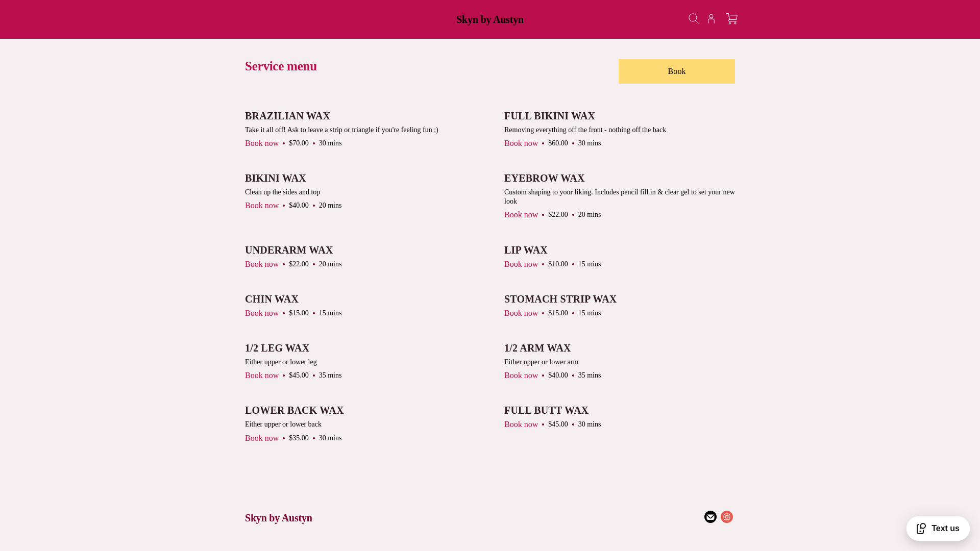 website screenshot of https://skynbyaustyn.com/