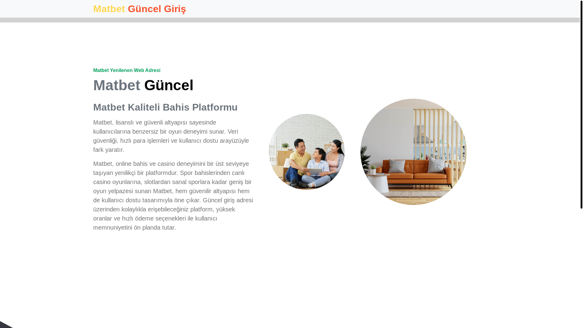 website screenshot of https://tek-erisim.com/