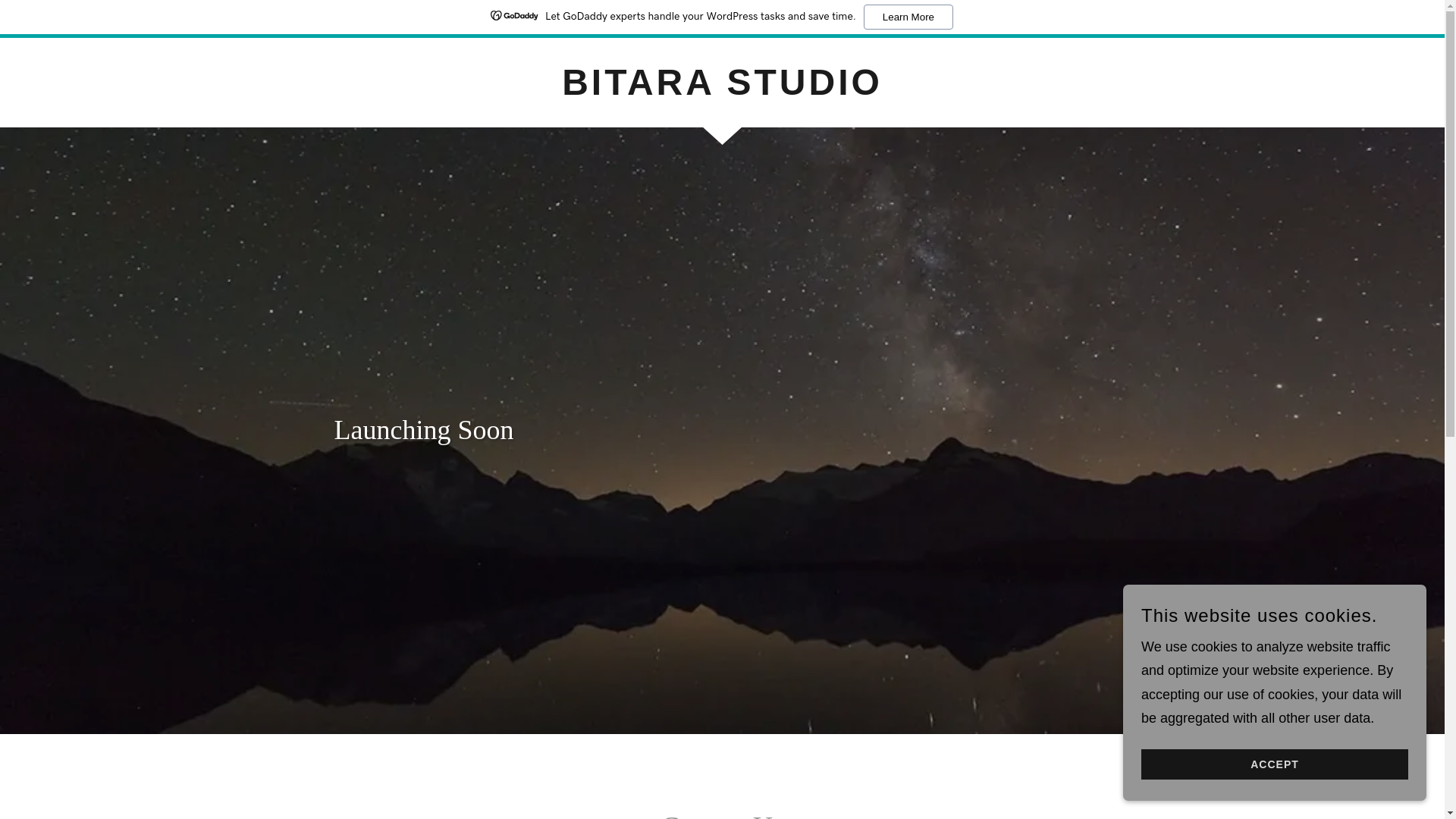 website screenshot of https://bitarastudio.com/