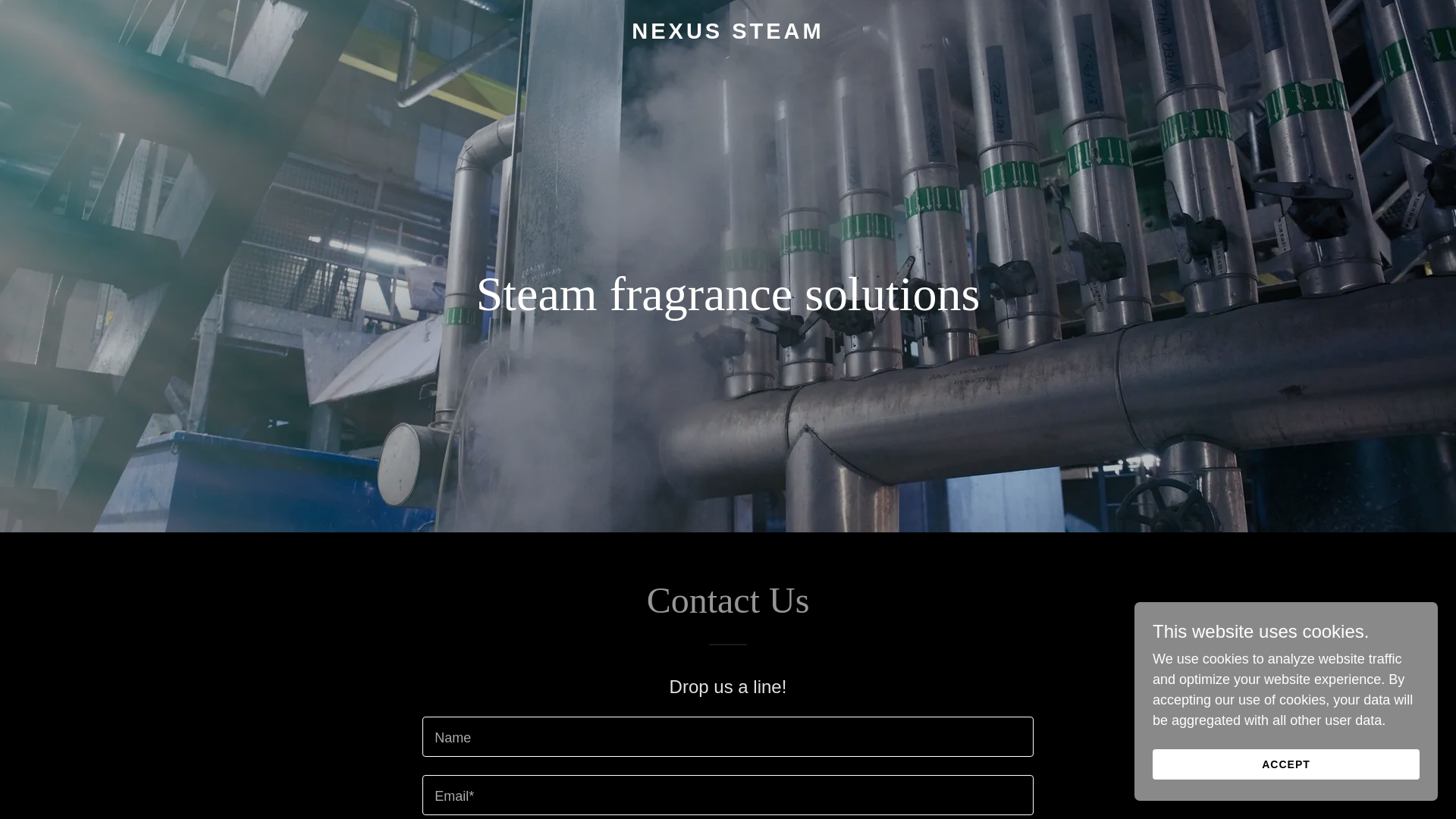 website screenshot of https://nexussteam.com/