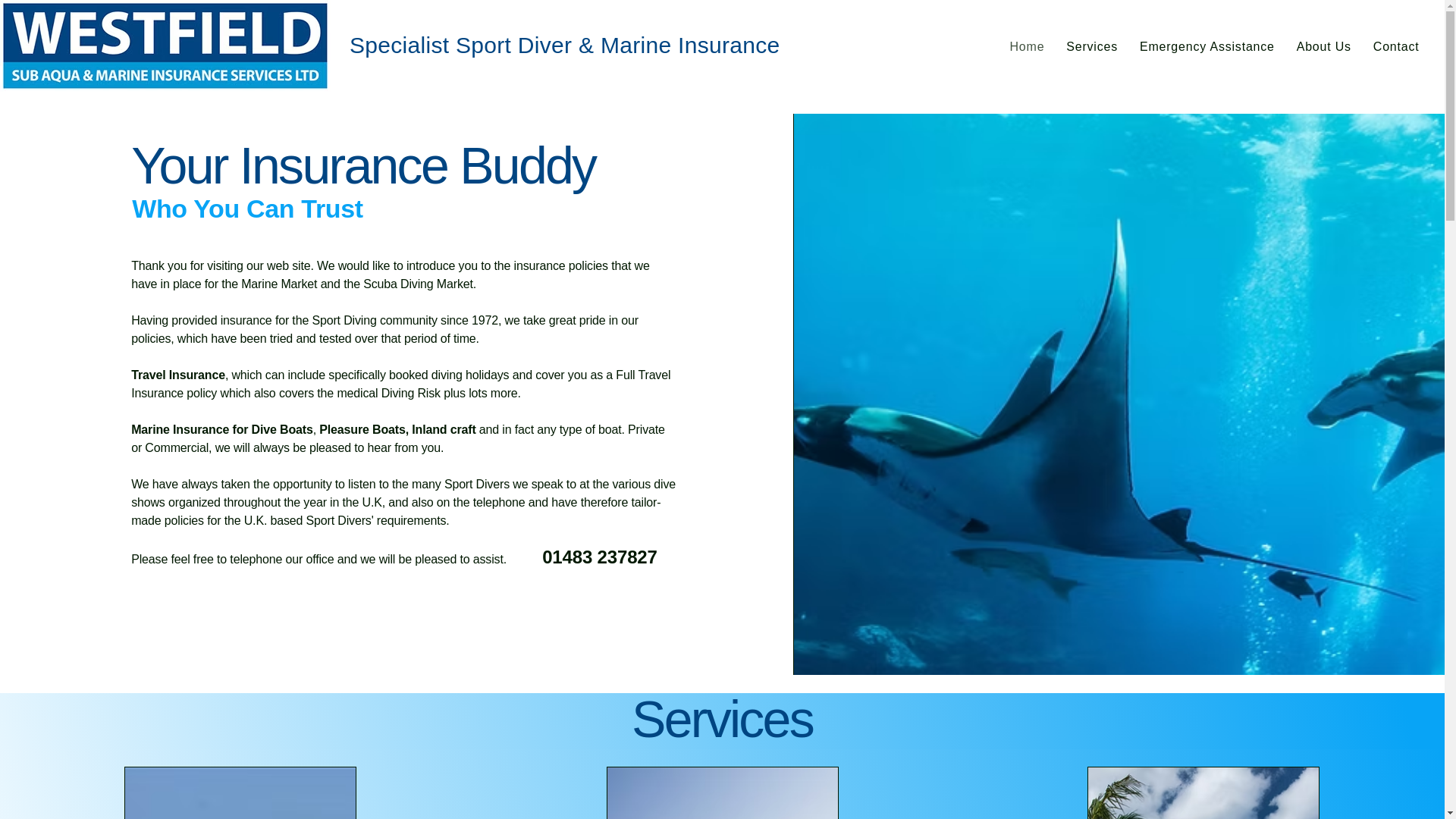 website screenshot of https://westfieldsubaquamarine.com/