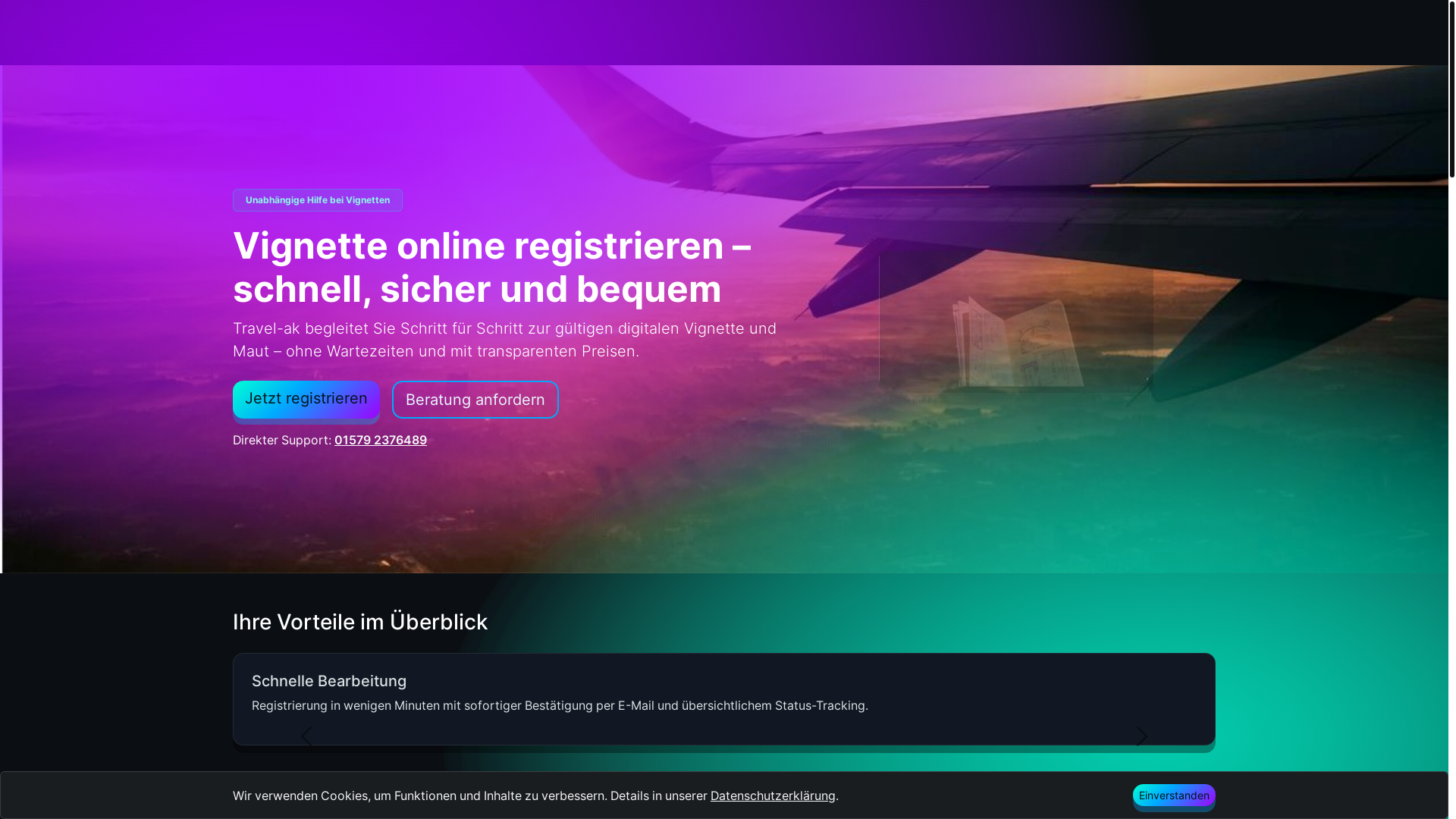 website screenshot of https://travel-ak.me/