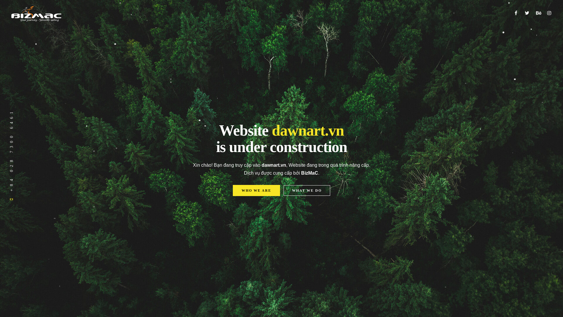 website screenshot of https://dawnart.vn/