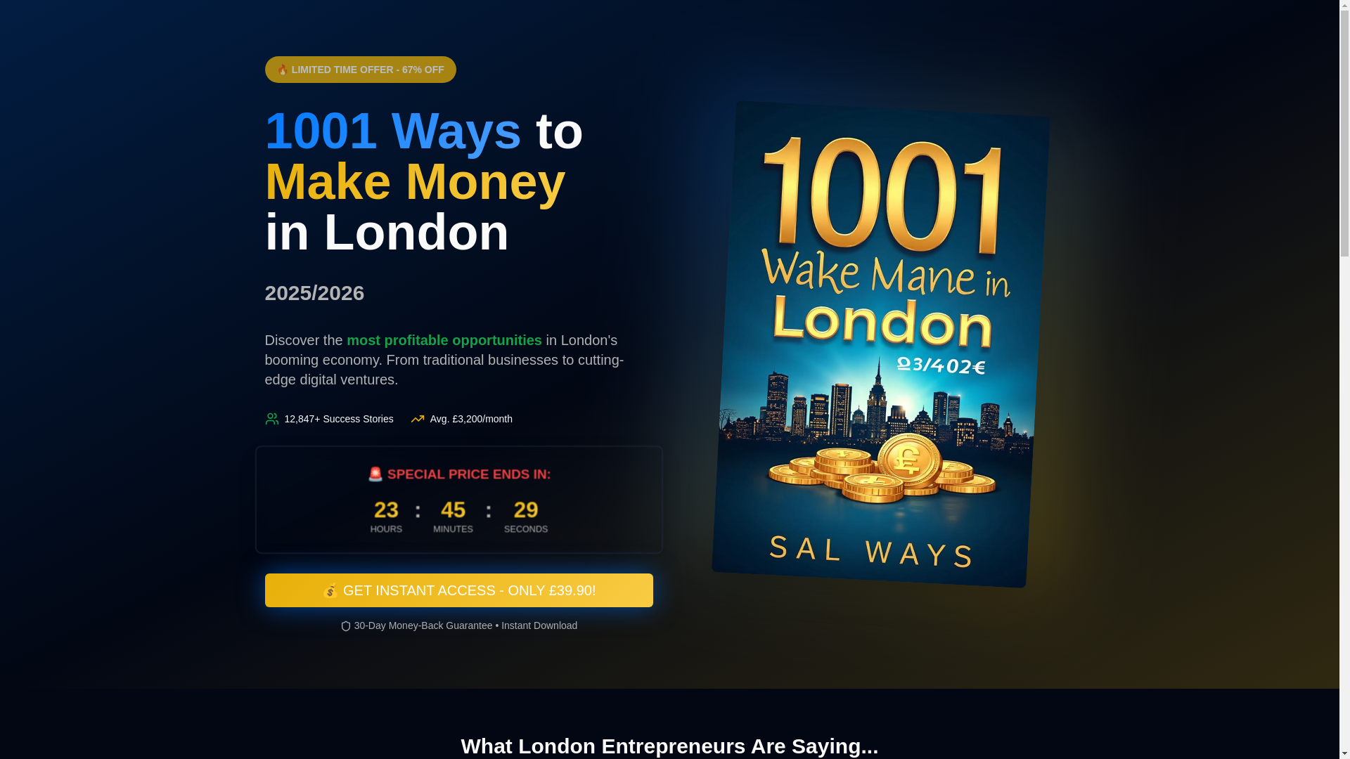 website screenshot of https://makemoneylondon.co.uk/
