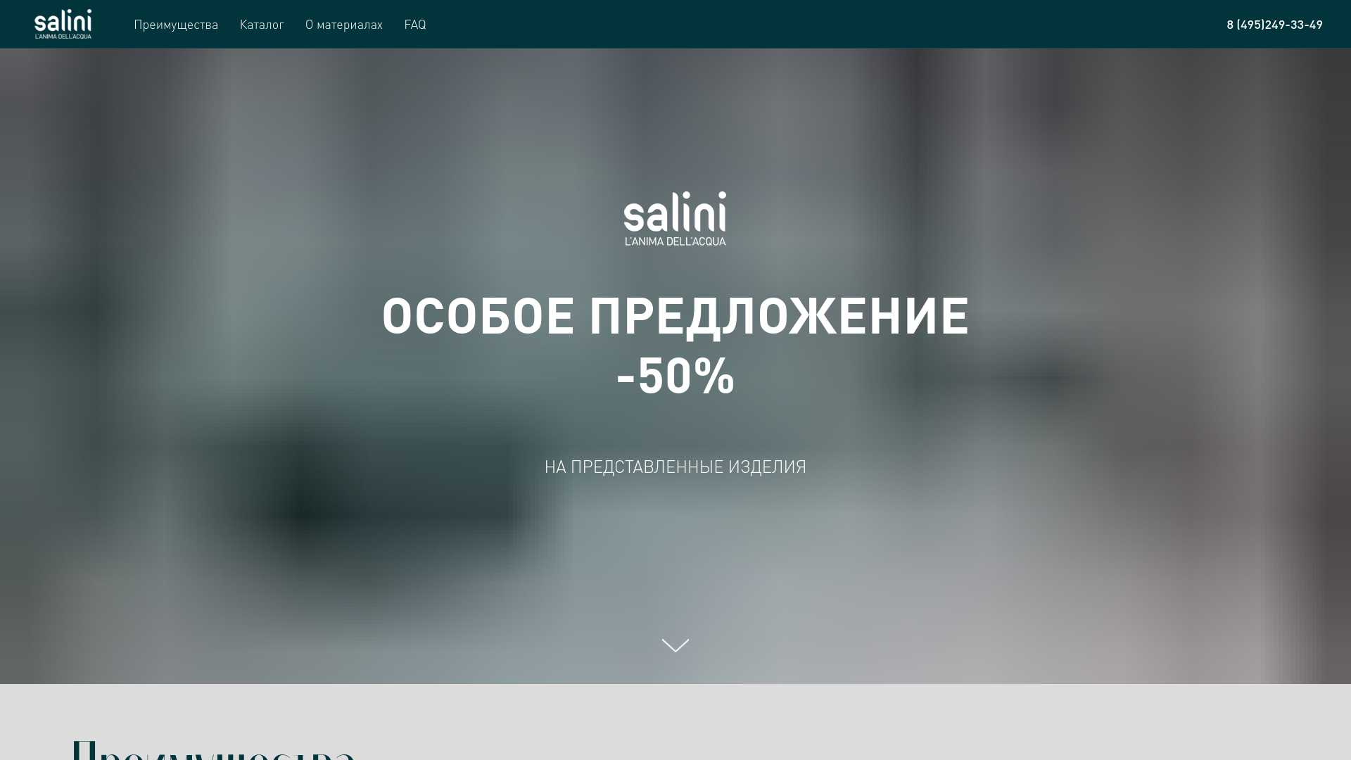 website screenshot of https://salini-stock.ru/