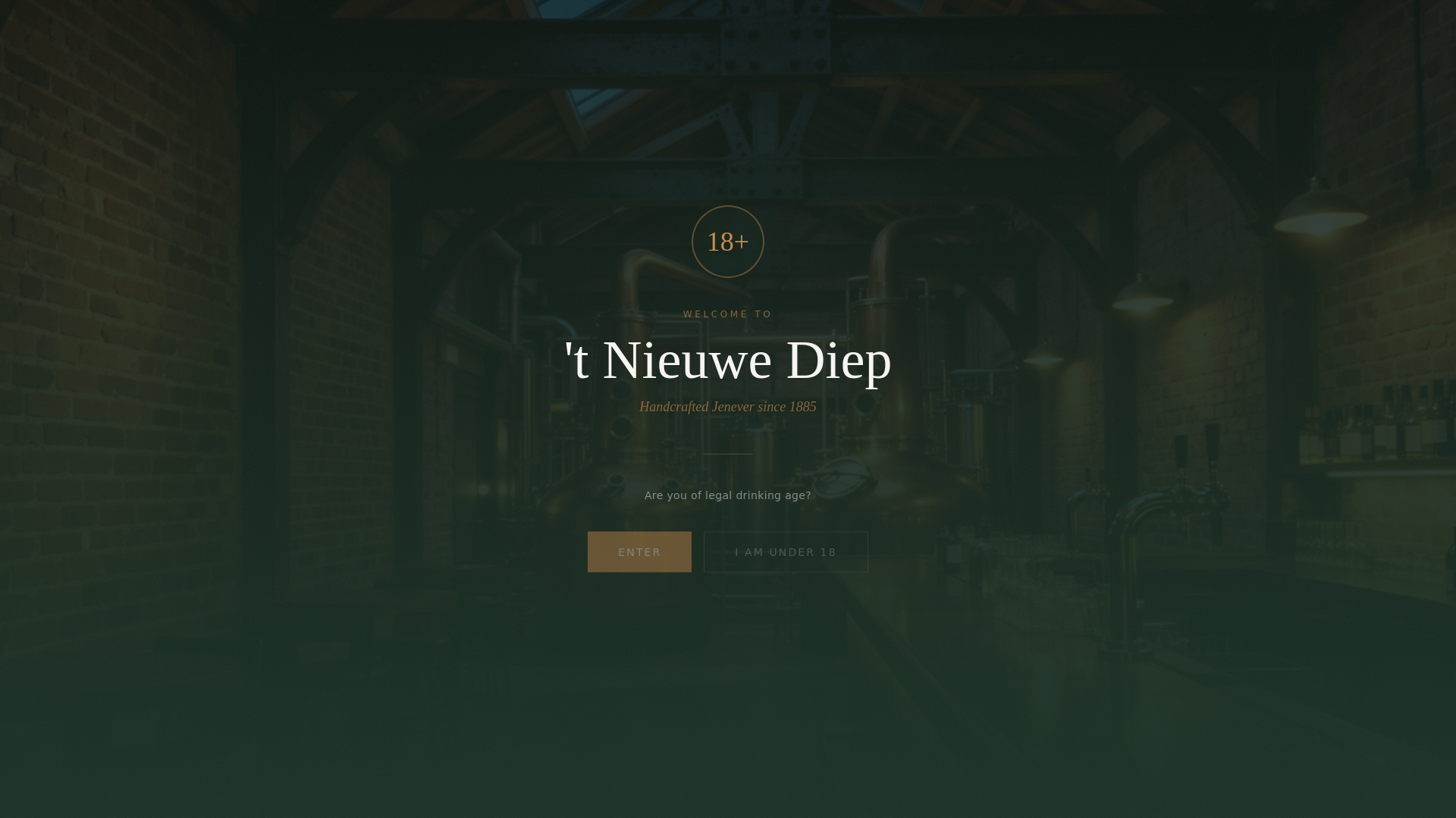 website screenshot of https://preview-pixelnmeshe.com